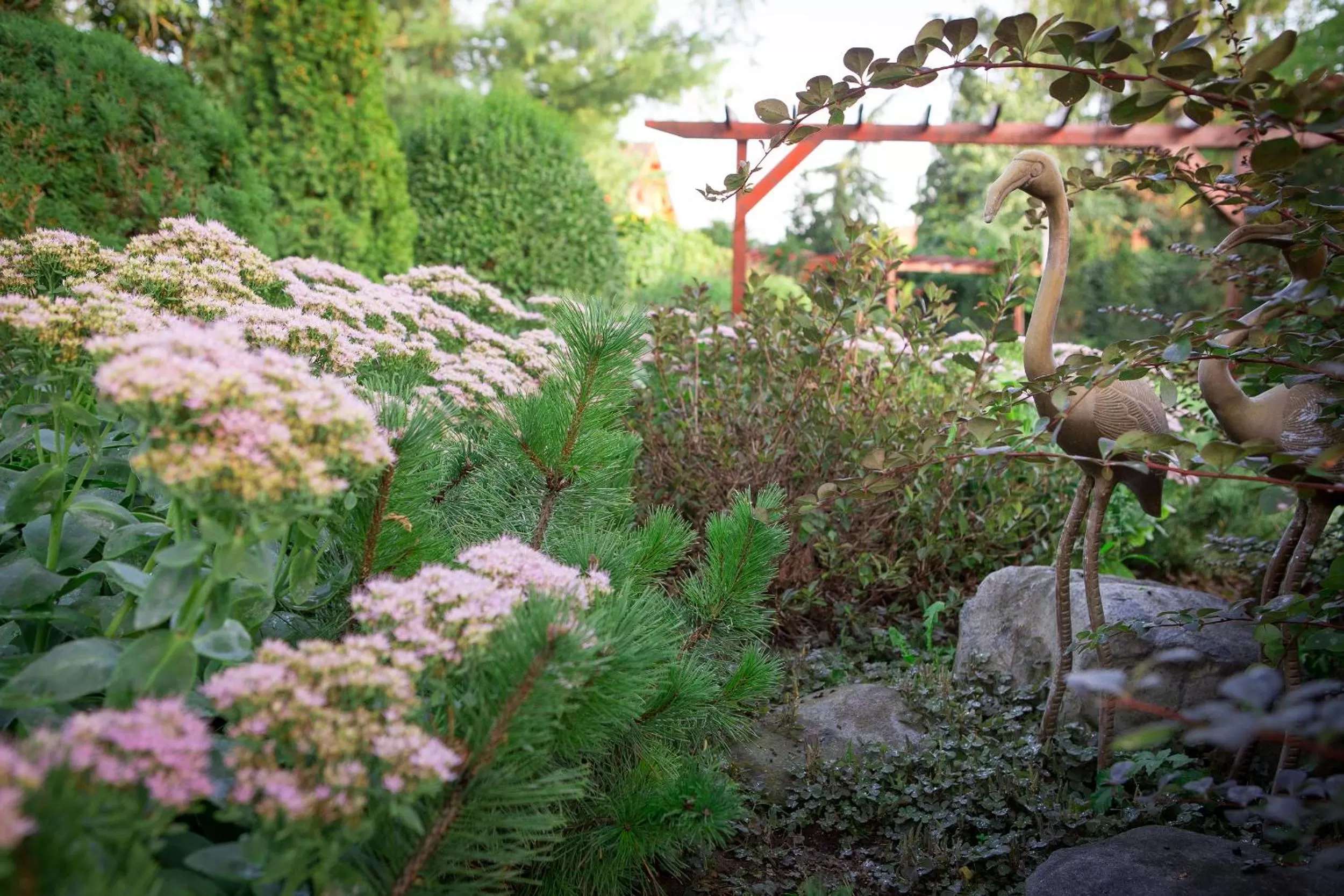 Garden in Green Park Villa