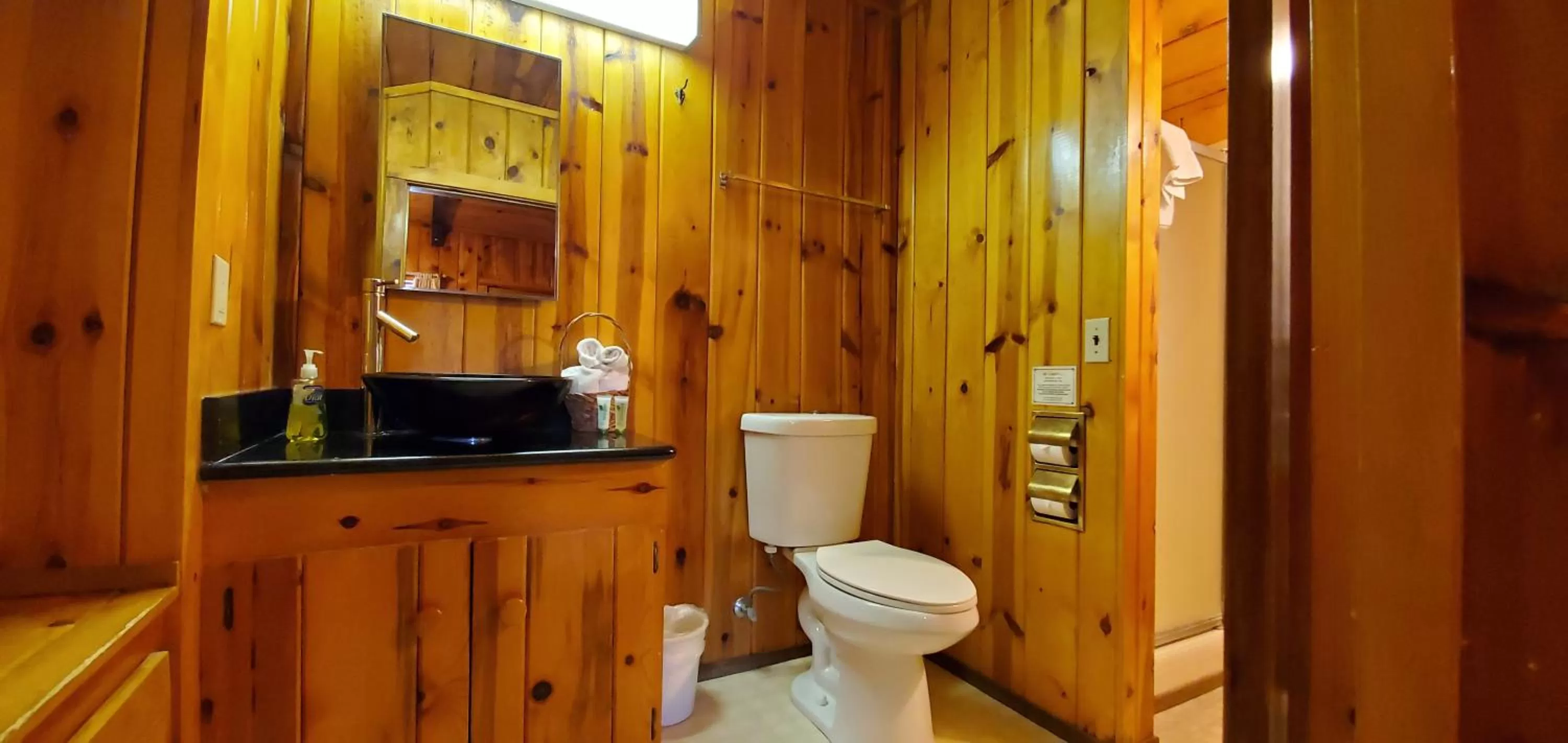 Deluxe Studio (Cabin 2) in Fern River Resort