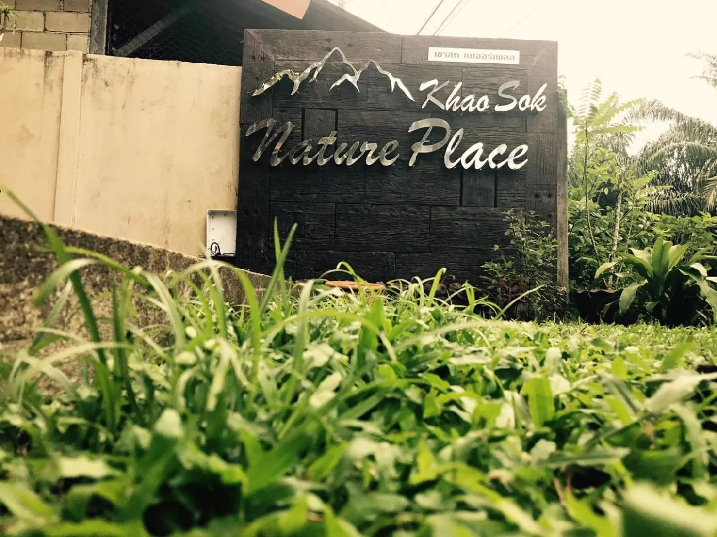 Property building in Khao Sok Nature Place - SHA Certified