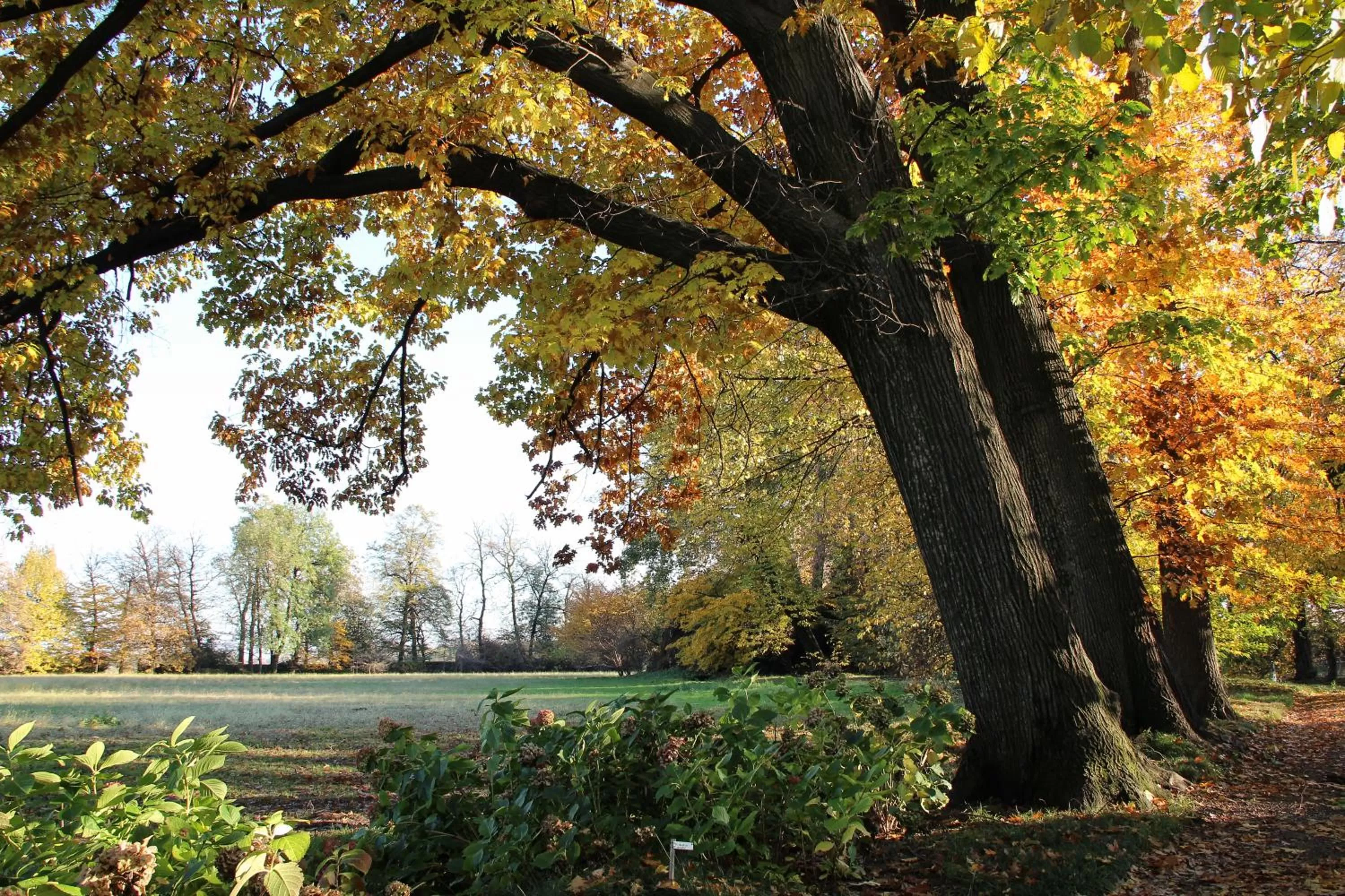 Garden view in Agriturismo Il Torrione