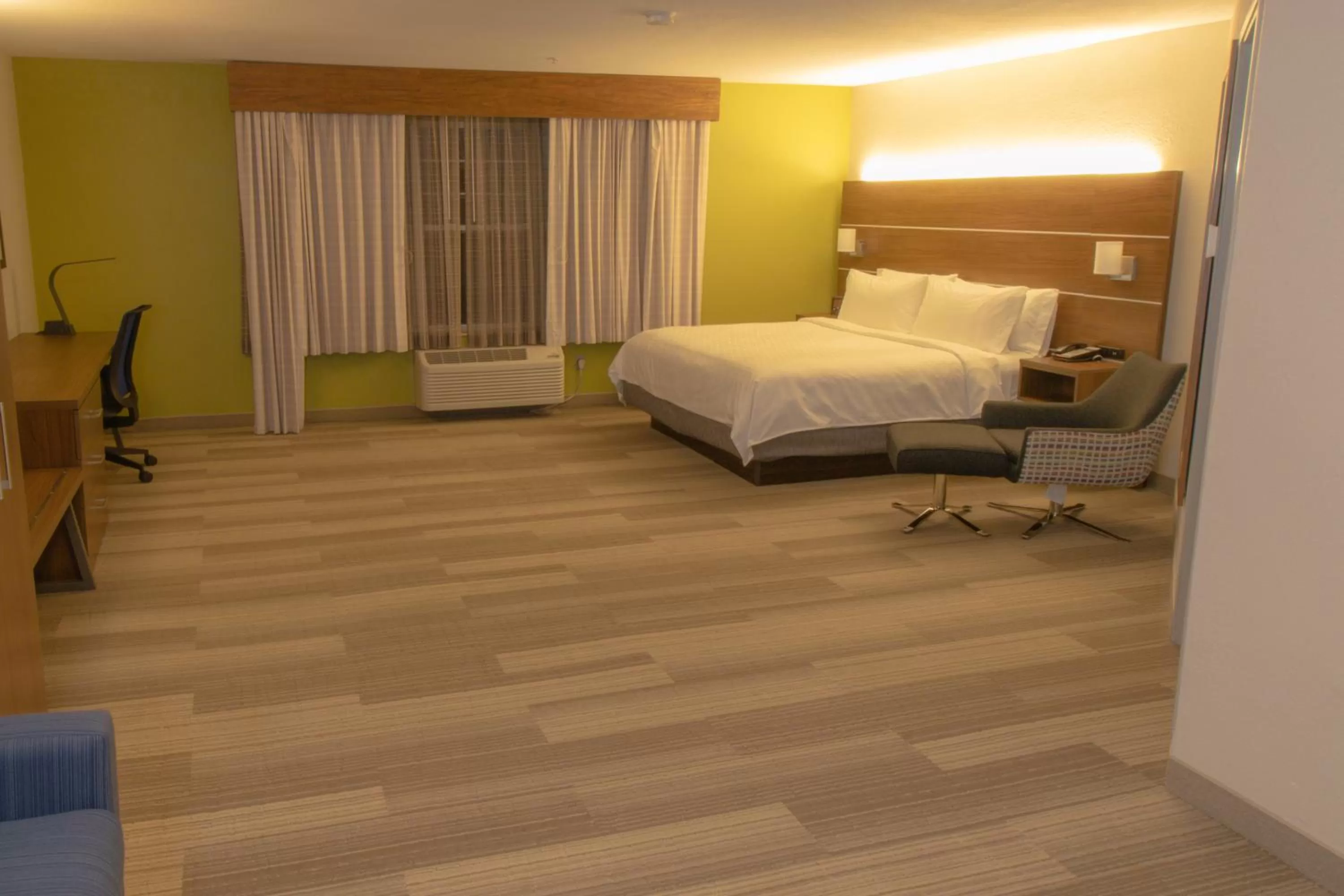 Deluxe King Suite in Holiday Inn Express & Suites Manassas, an IHG Hotel