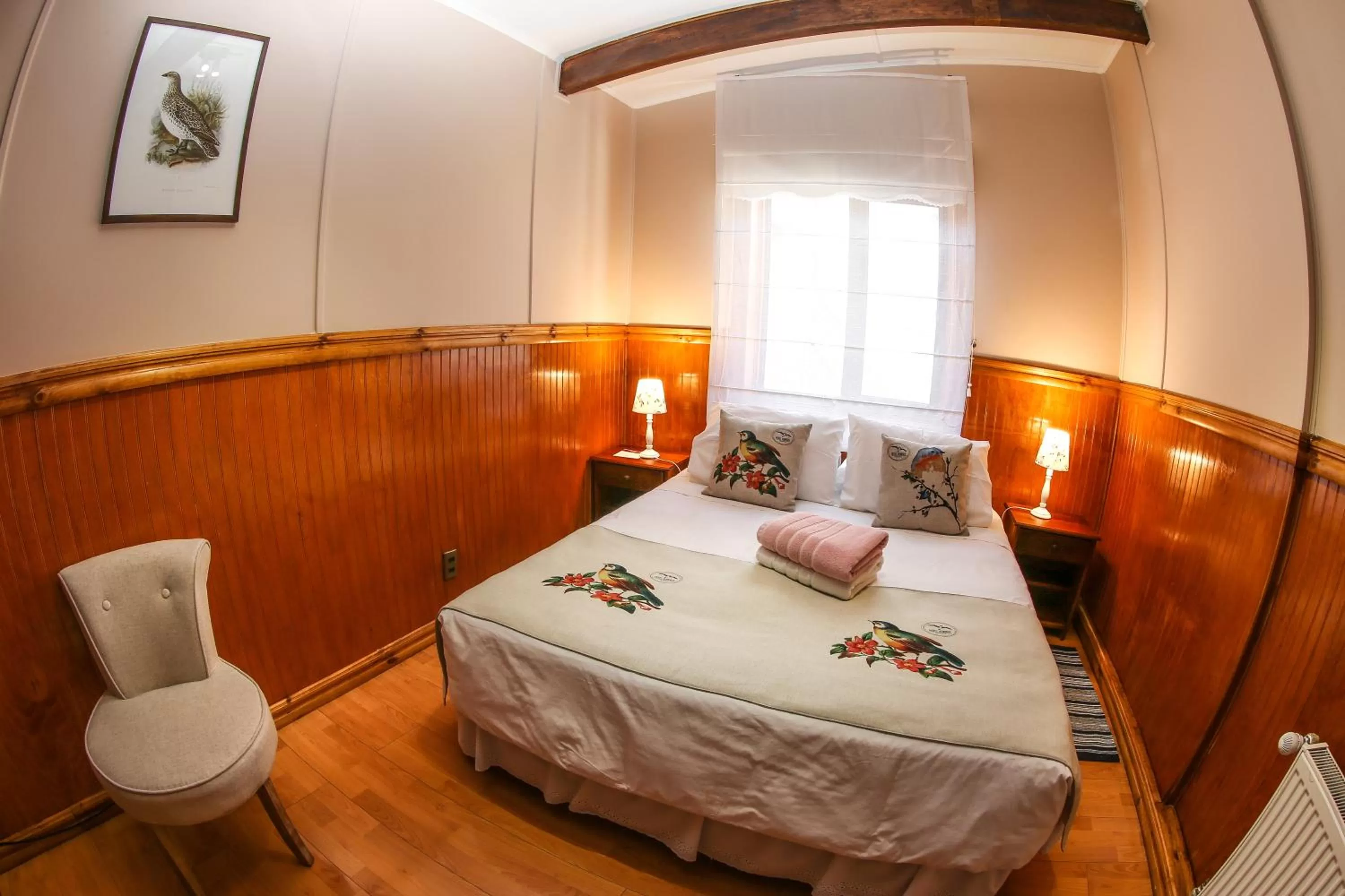 Double Room with Private Bathroom in Hotel Albatros