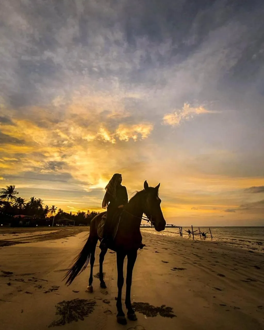 Horse-riding in Palm Beach Resort & SPA