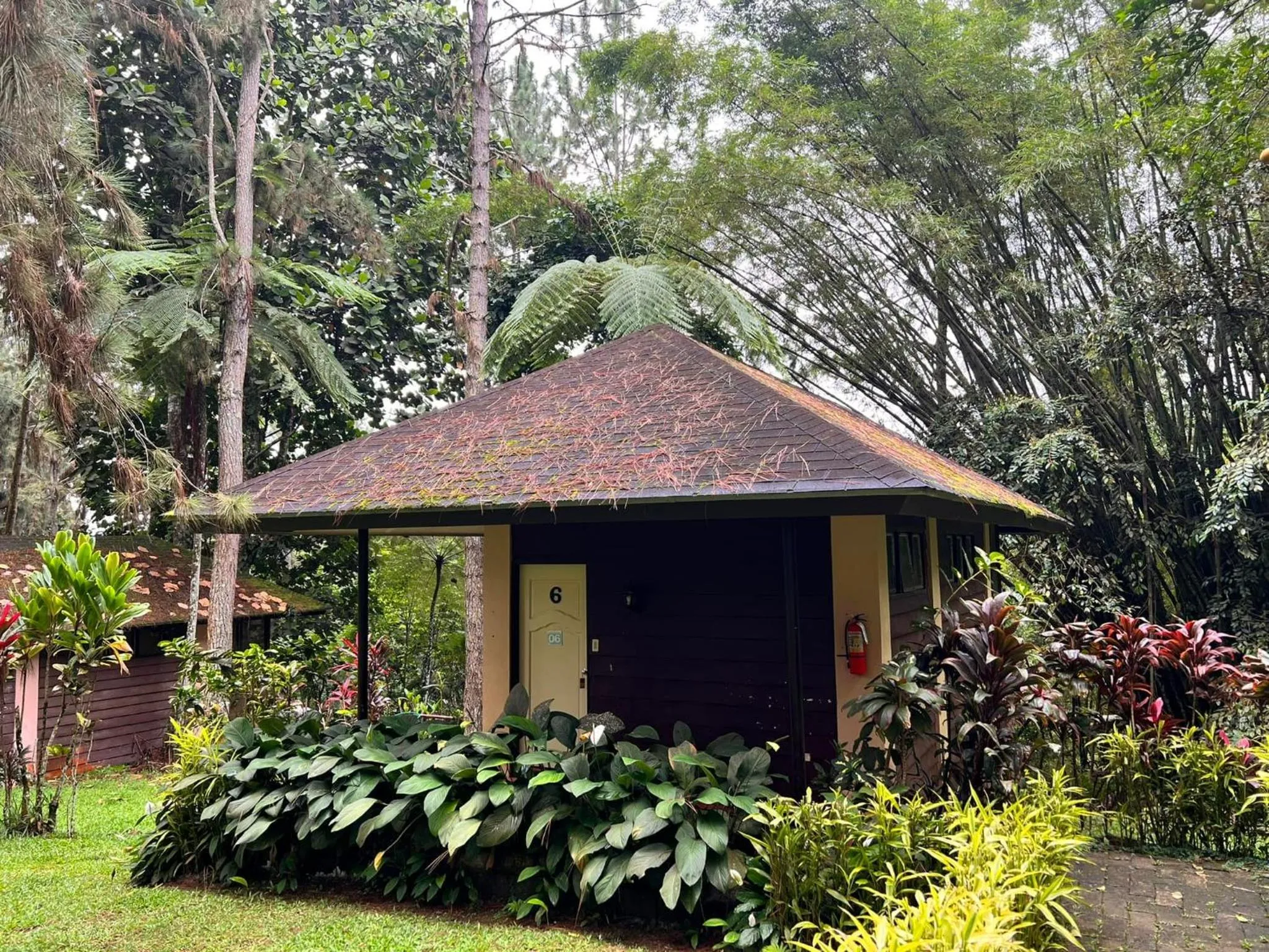 Eden Nature Park and Resort