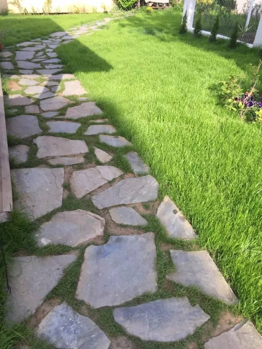 Garden in Family Hotel Malibu