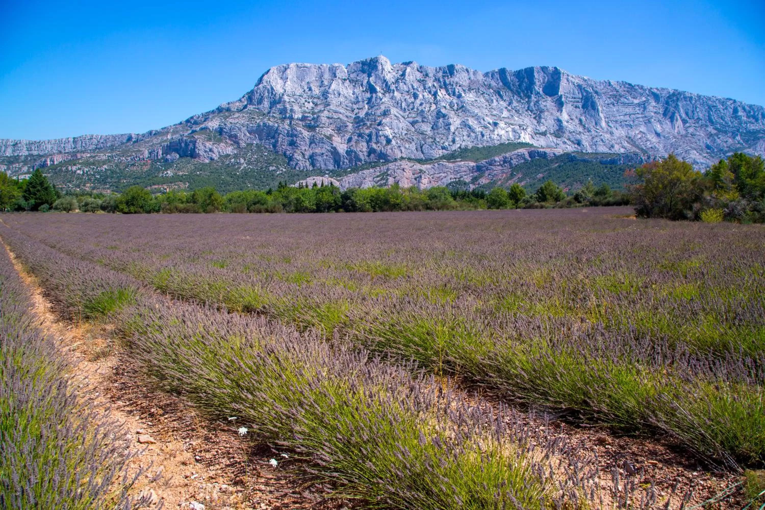 Natural landscape in Campanile Prime - Aix-en-Provence Sud - Pont de l'Arc