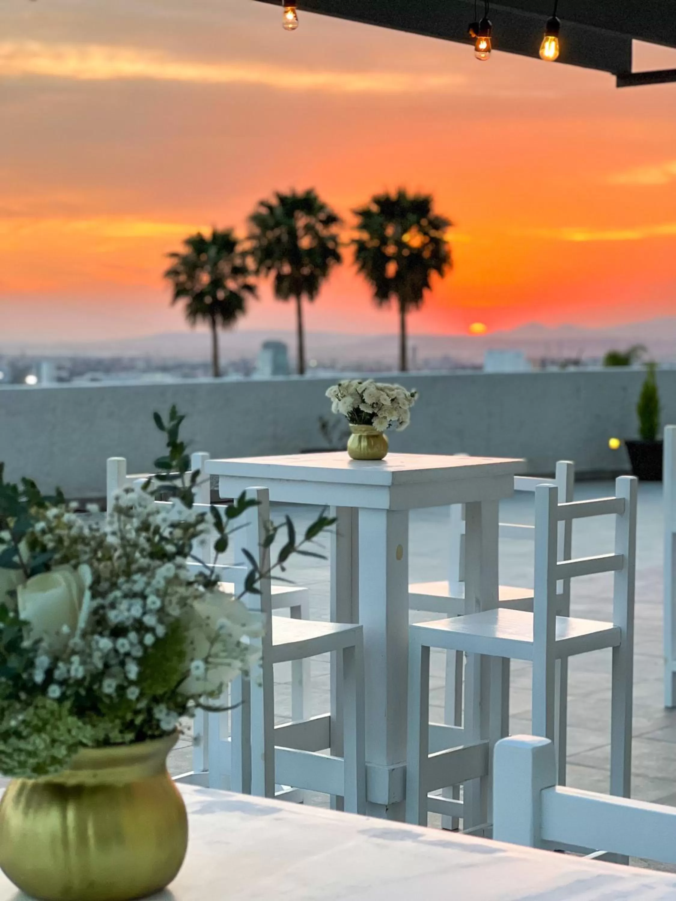 Natural landscape in Hilton Queretaro