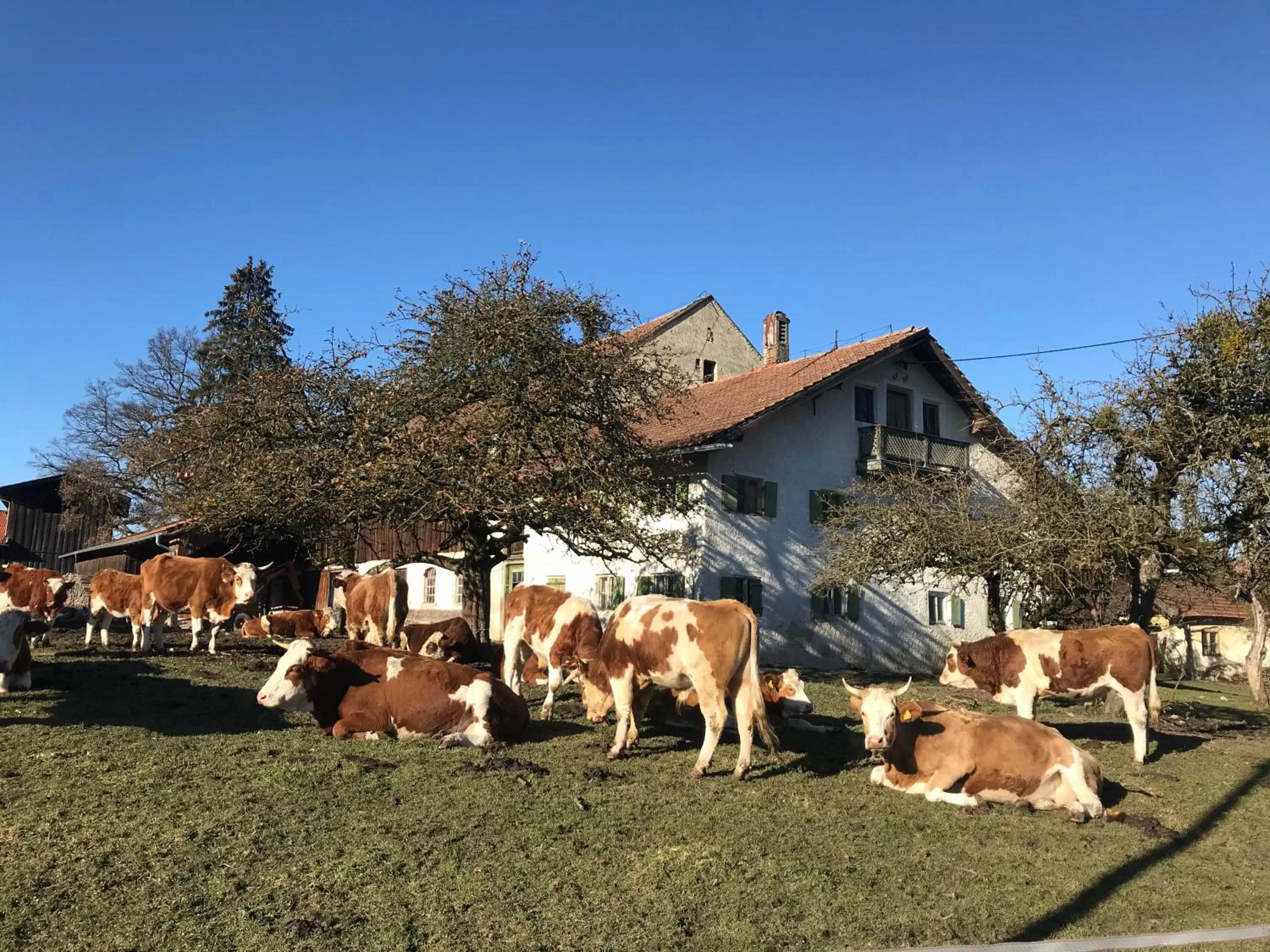 Staff, Property Building in Bed and Breakfast Bavaria München