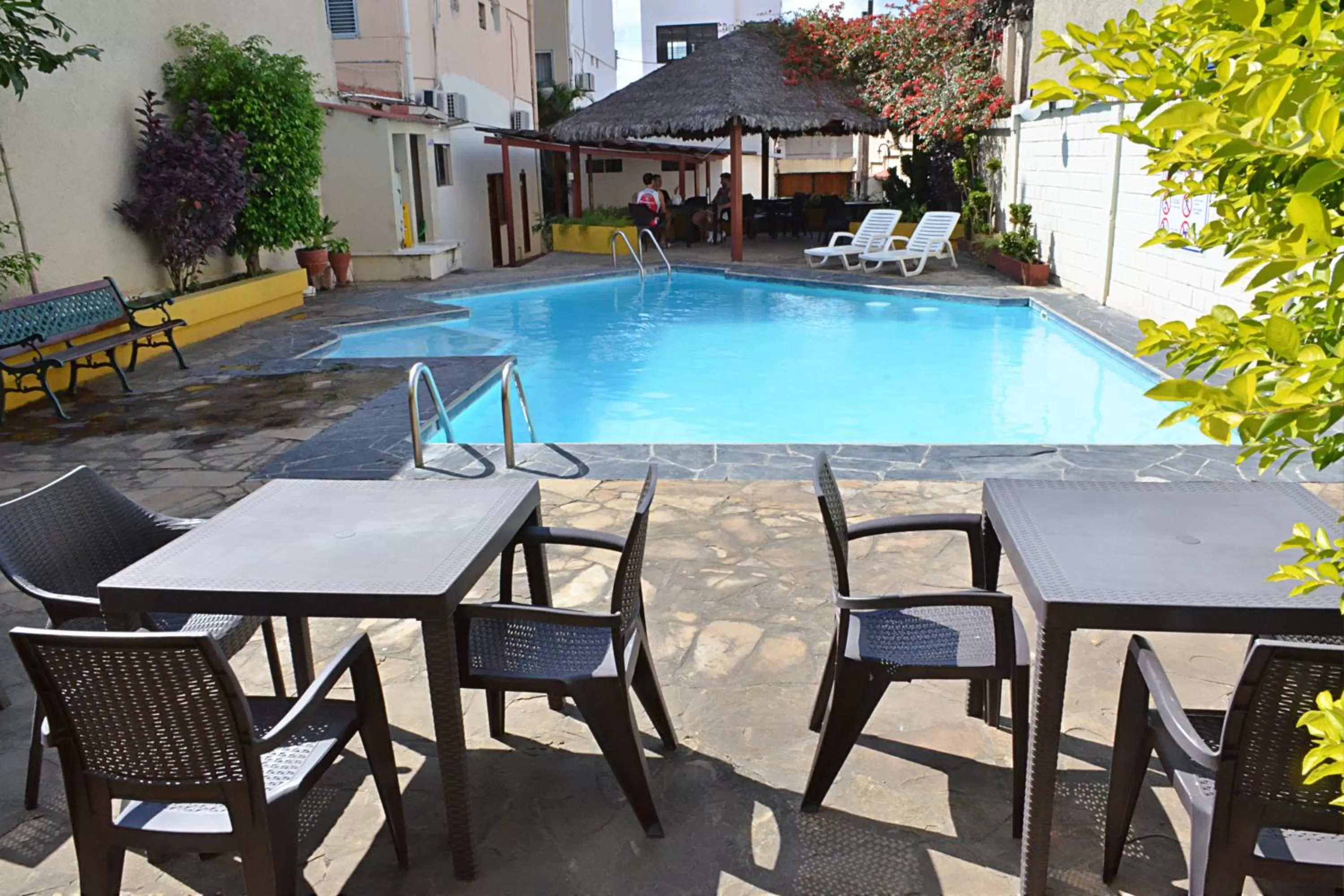 Garden, Swimming Pool in La Siesta Hotel