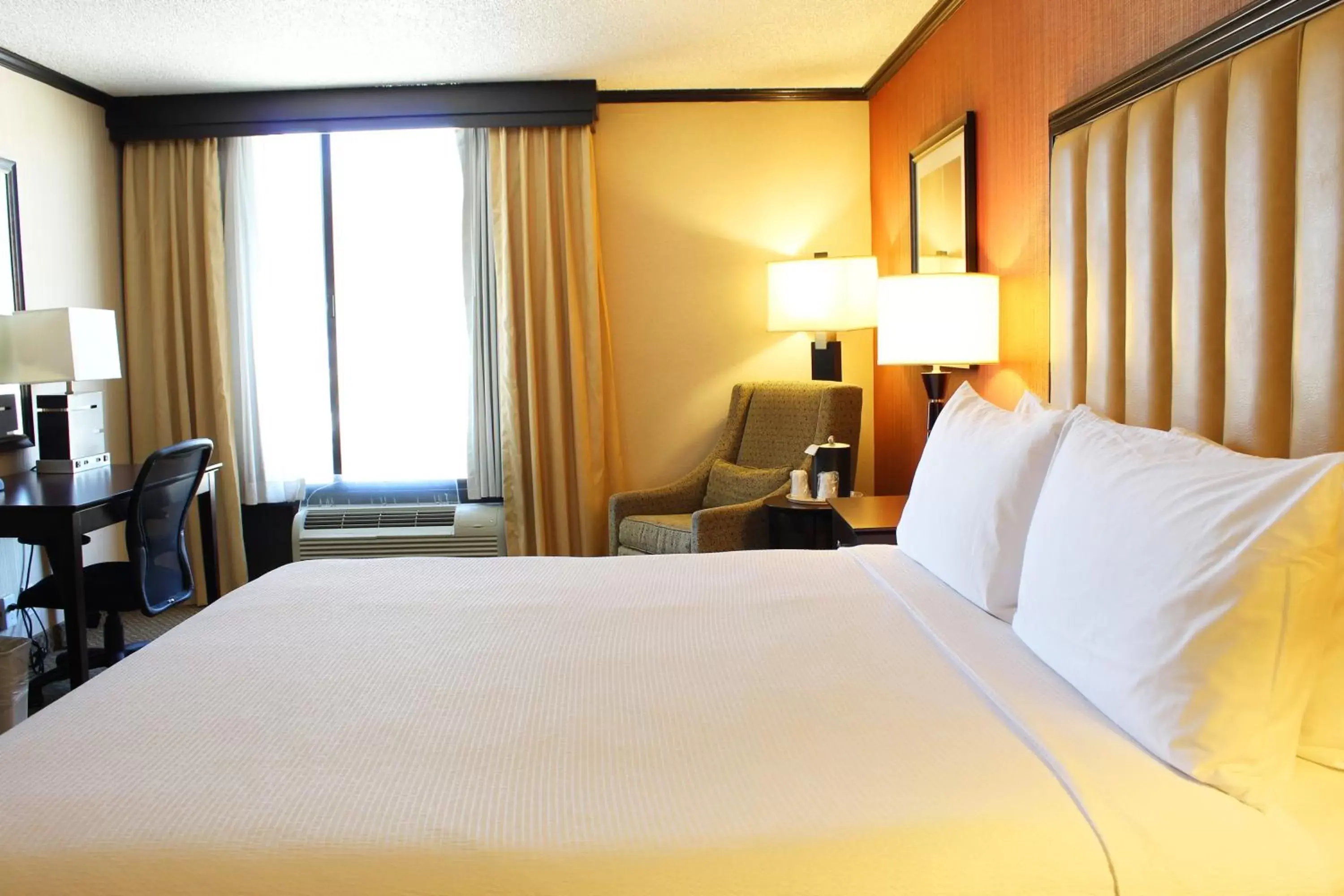 Superior King Room in Hotel Burbank Superior King Room in Hotel Burbank