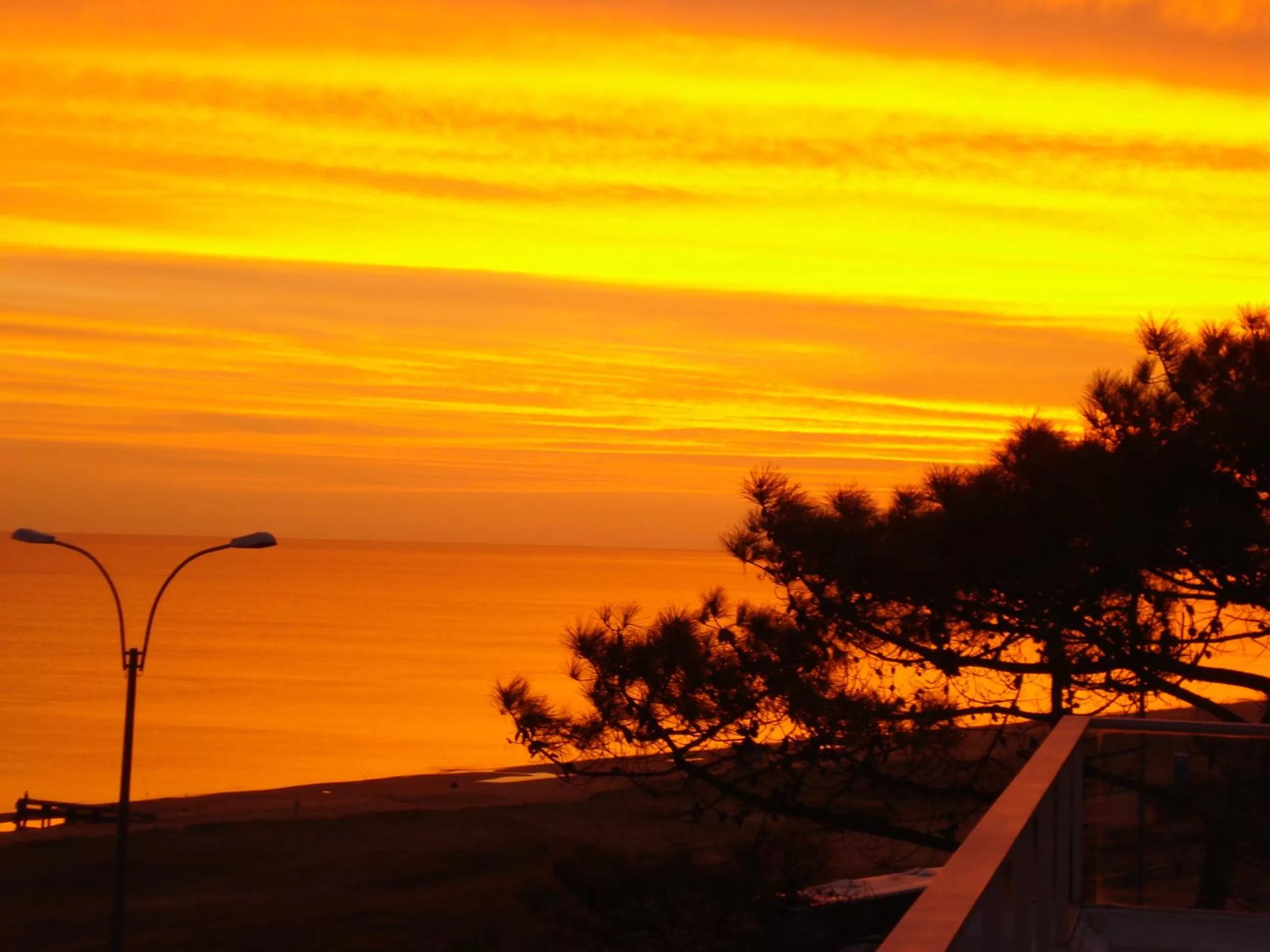 View (from property/room) in BDA Hotel & Spa