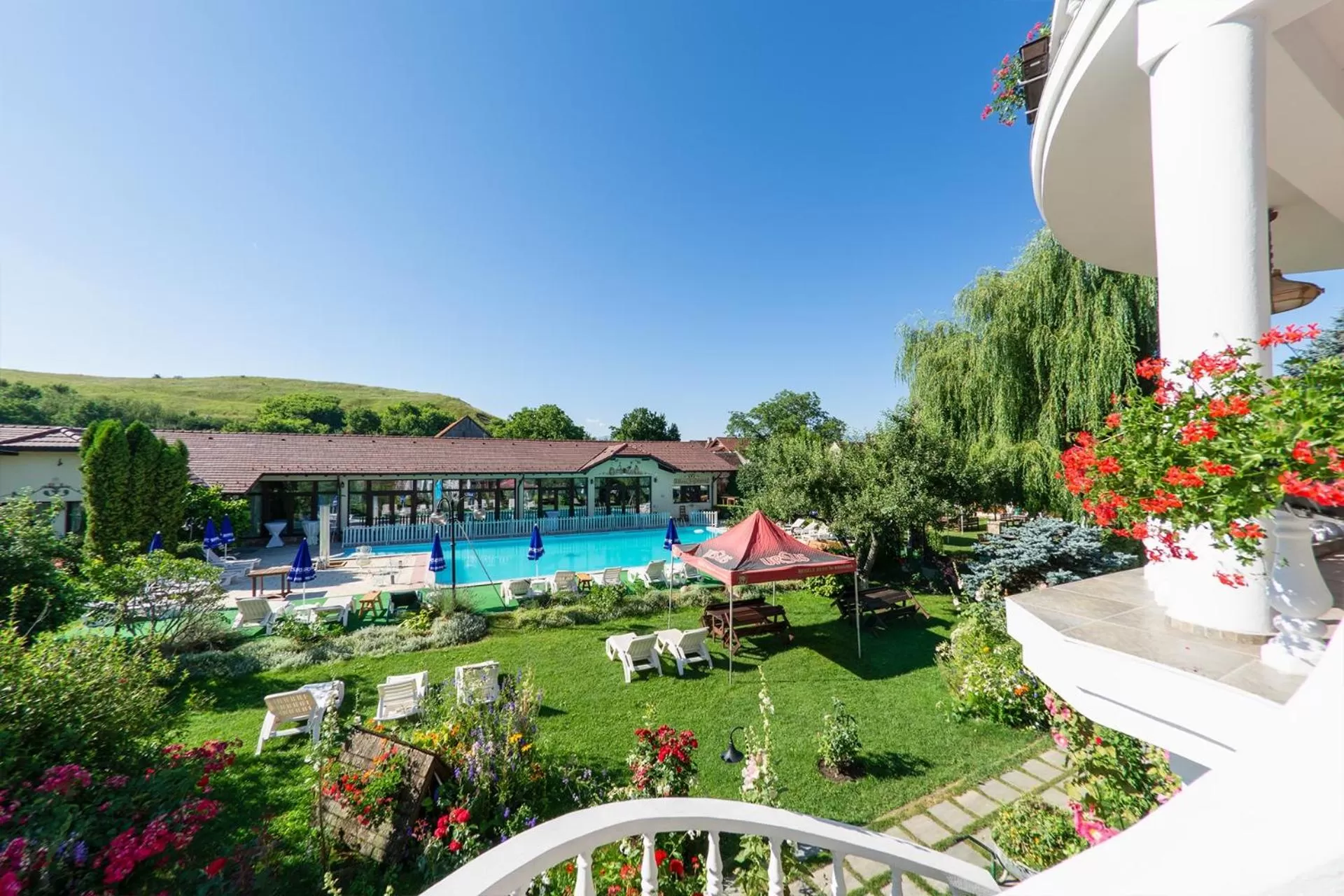 Pool View in Hotel Bielmann
