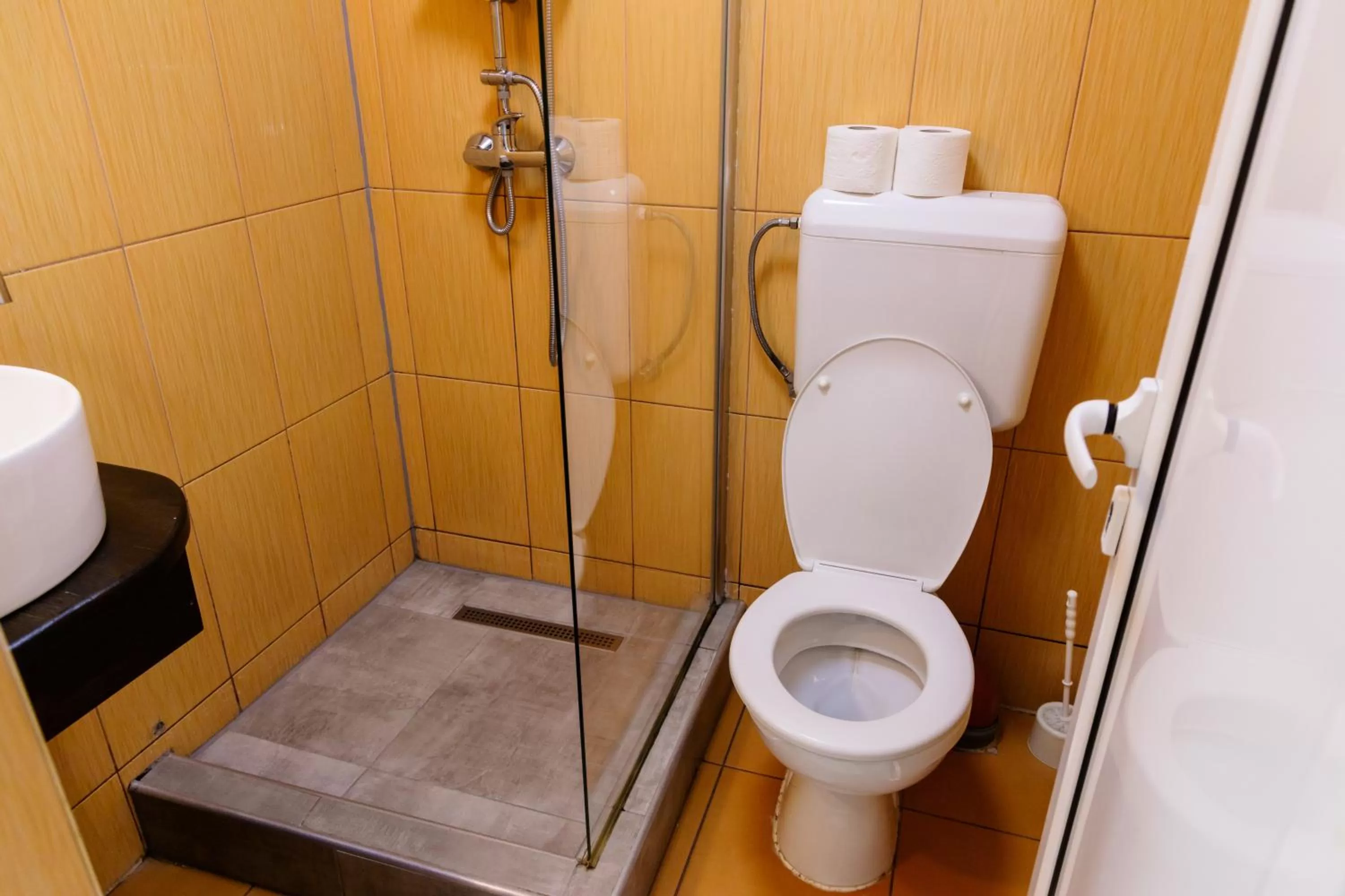 Bathroom in Pensiunea Pictorilor