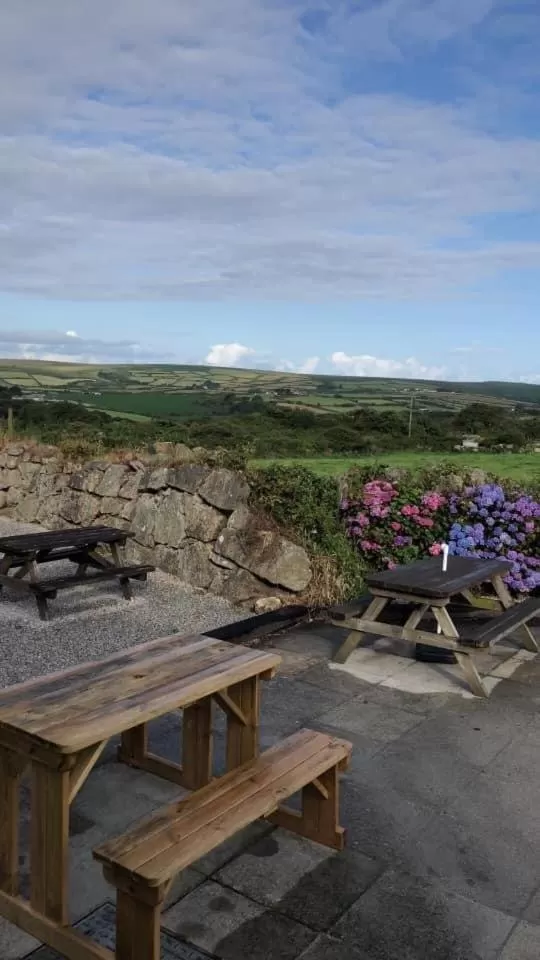 Garden in The Engine Inn