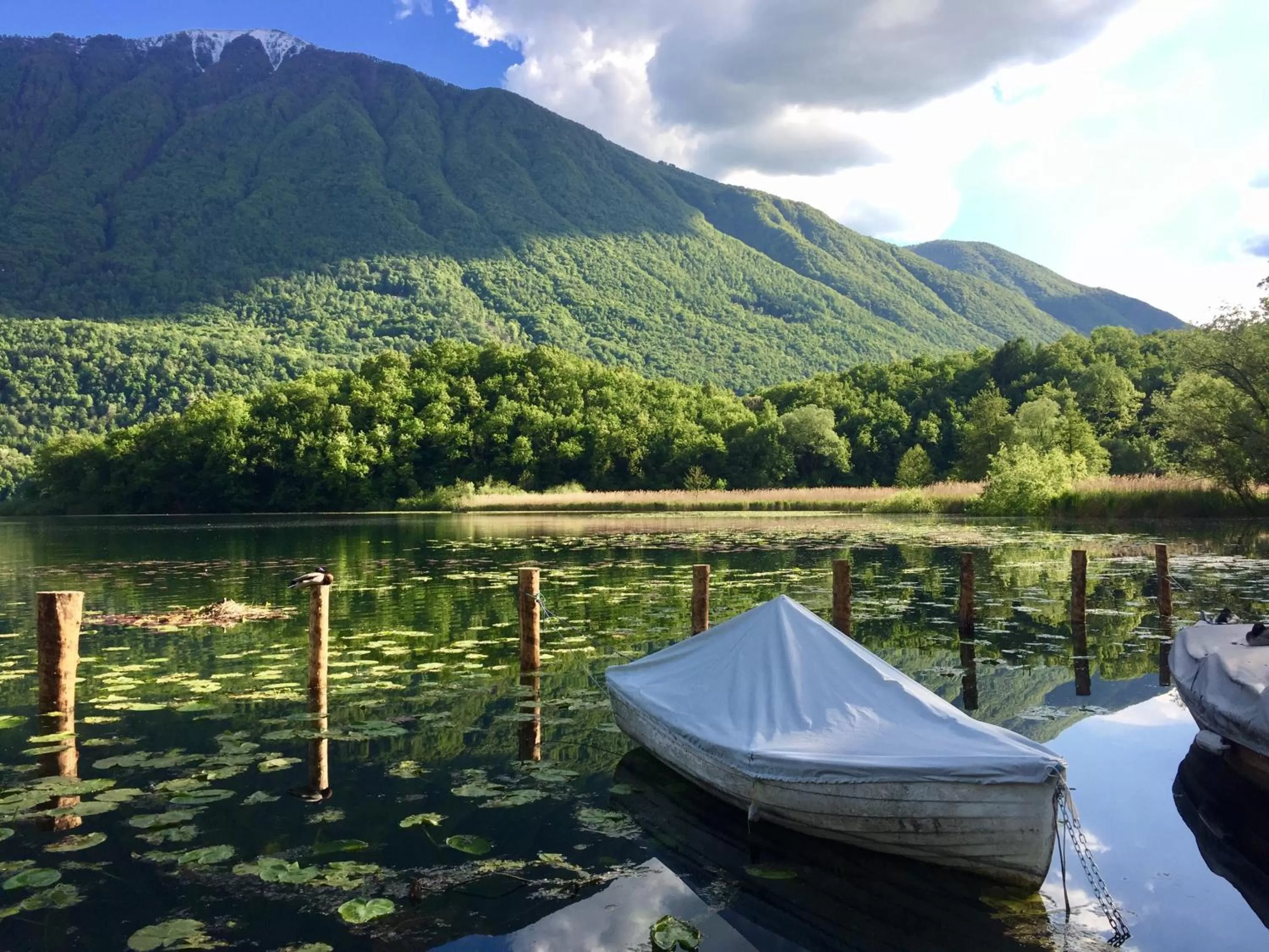 Nearby landmark in Hotel Concordia