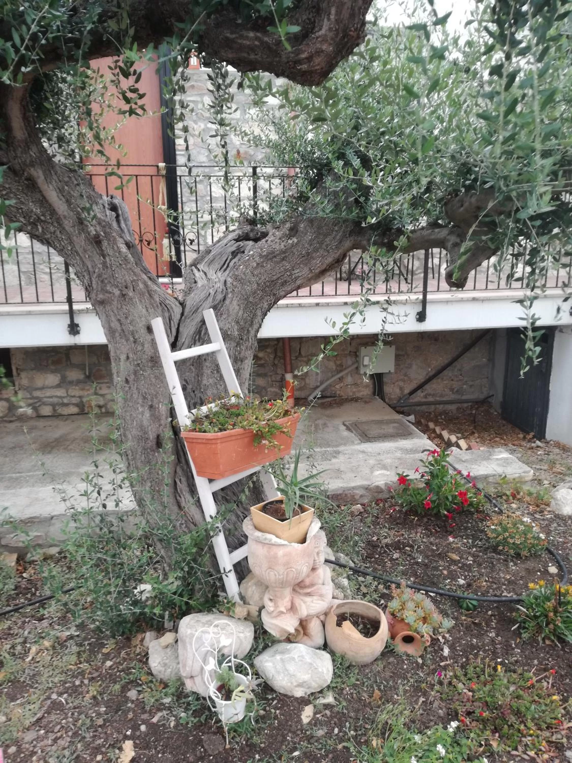 Garden in B&B Pozzo Innamorato