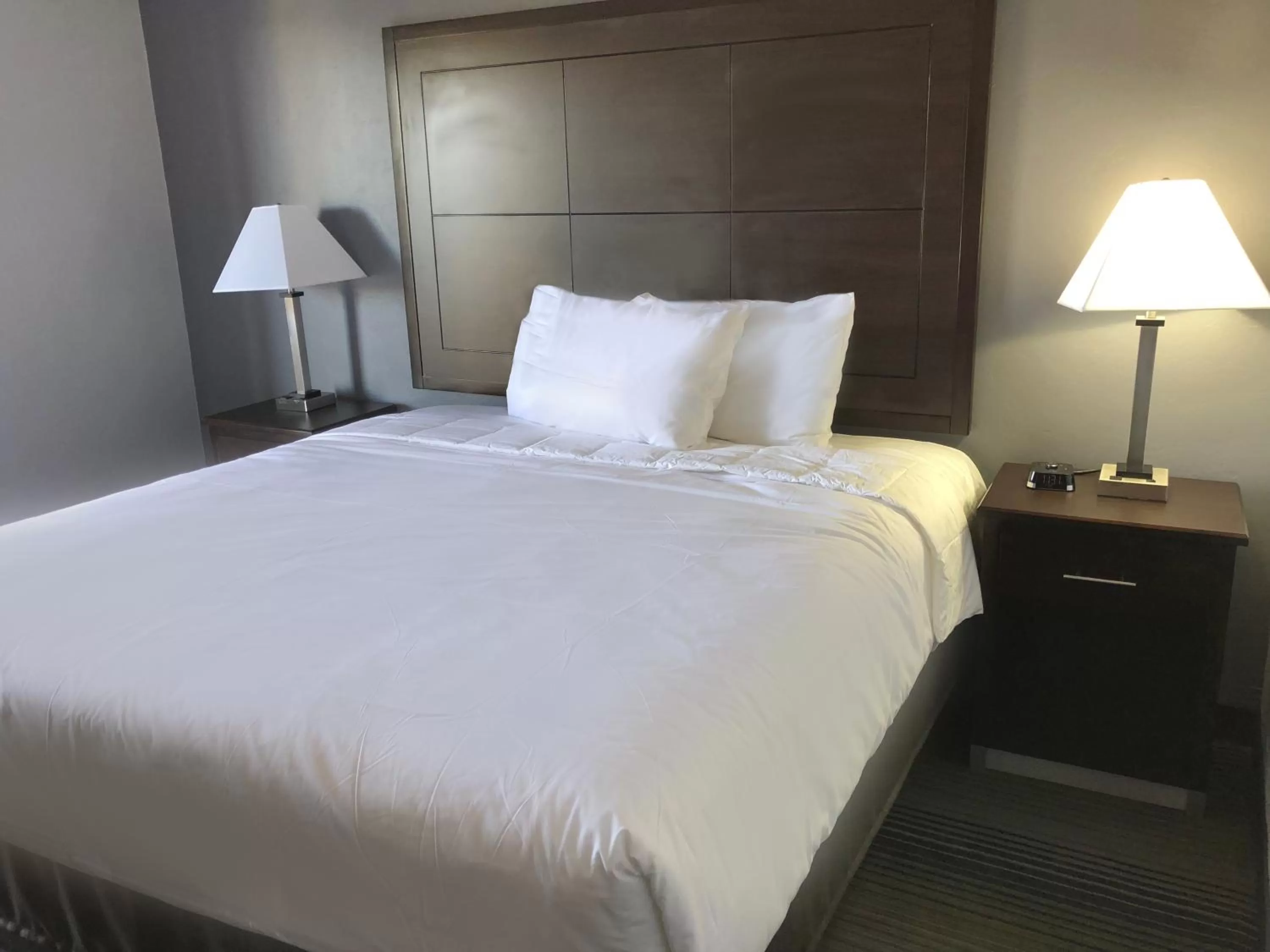 Bed in Red Lion Inn & Suites Tucson Downtown