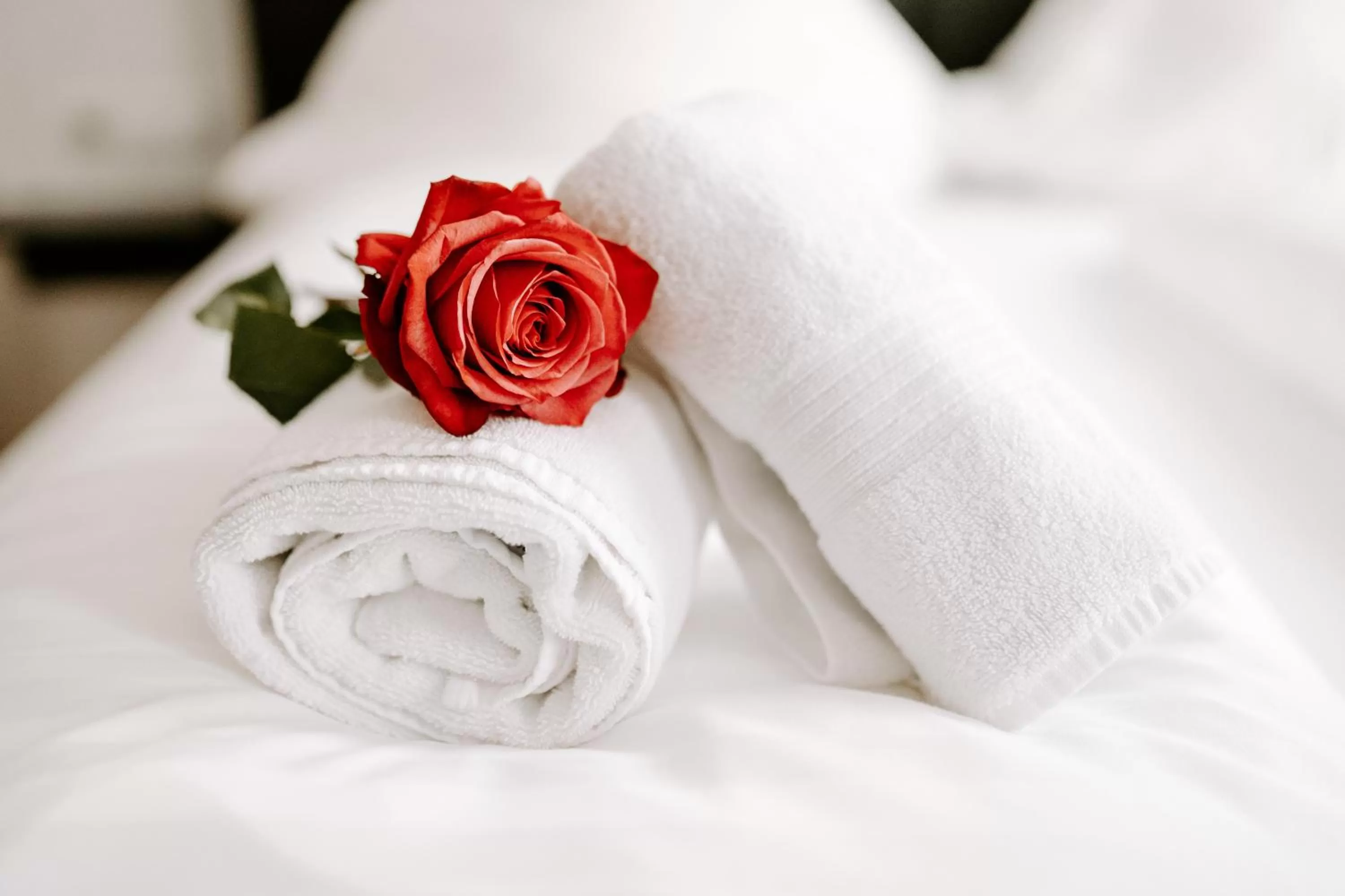 Bed in Hotel Da Felice