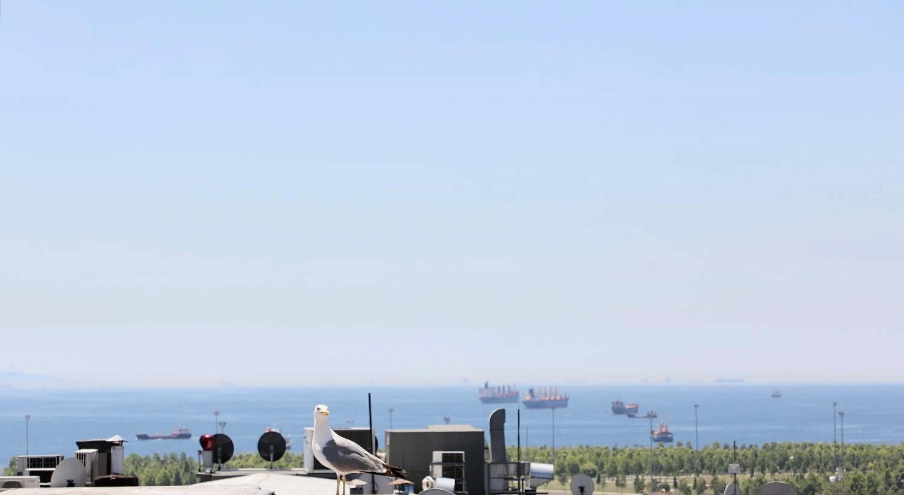 Day in Istanbul Royal Hotel