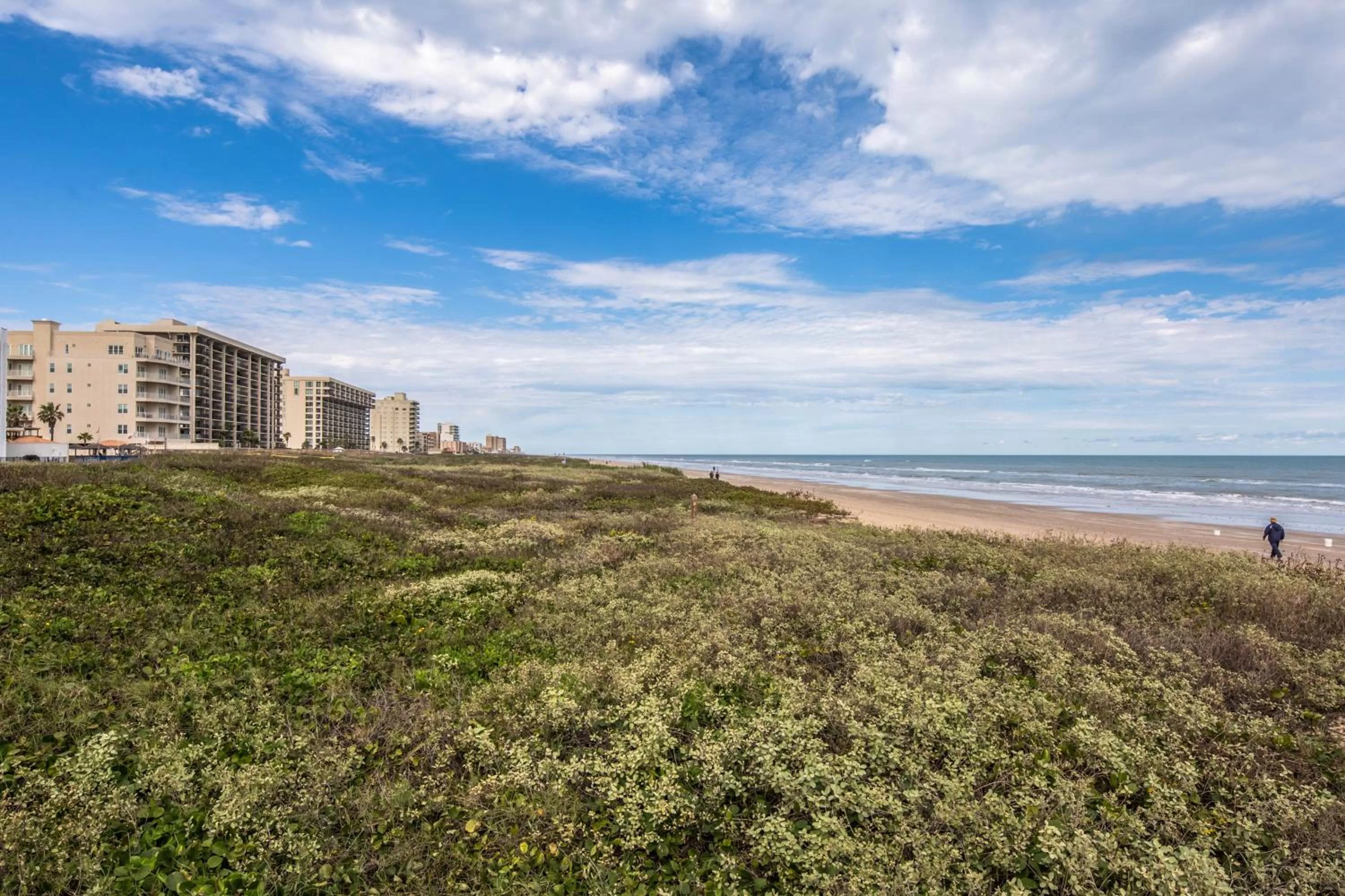 Beachview Condominiums: Wicker Wanderer (#109)