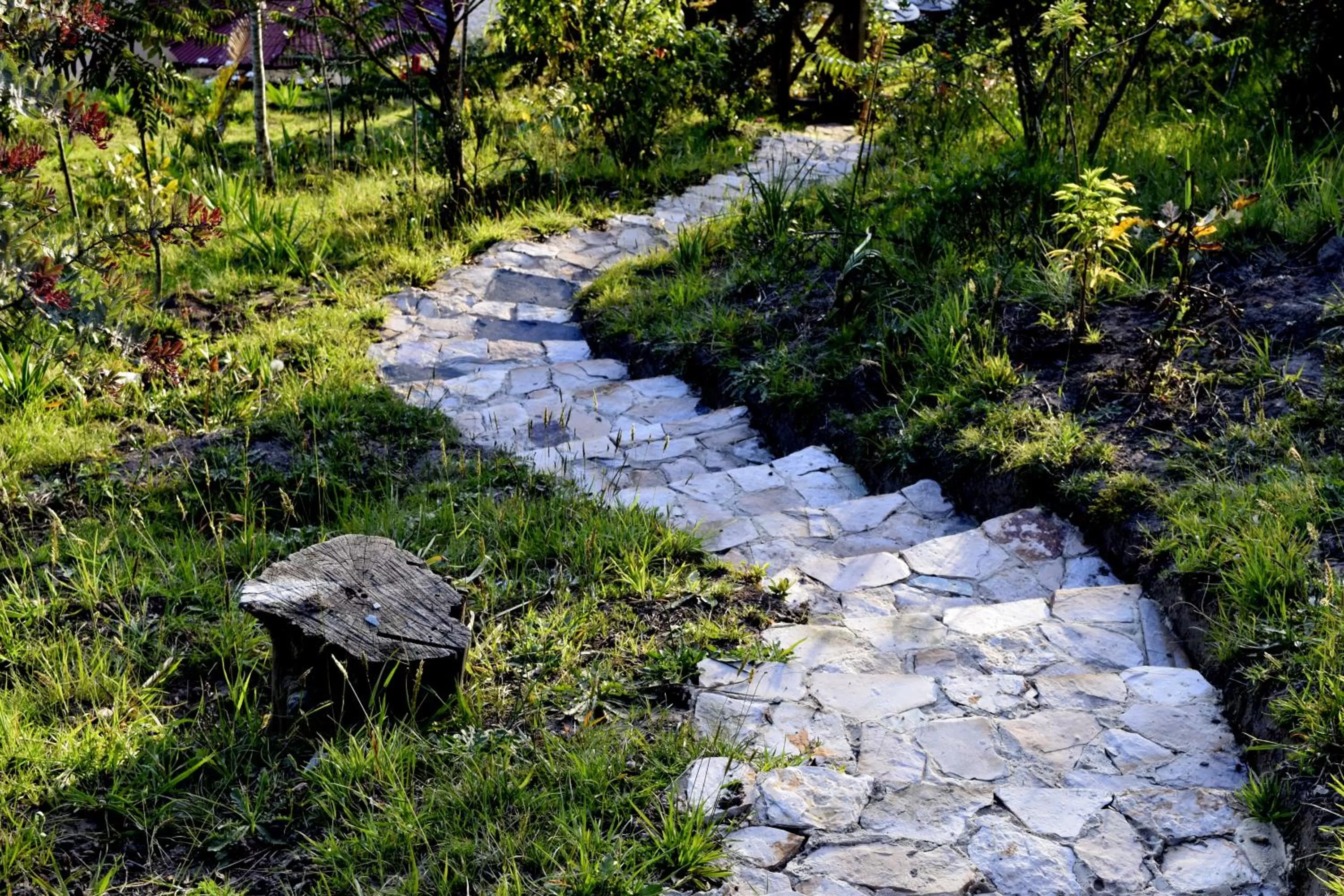 Garden in El Pedregal Sopó