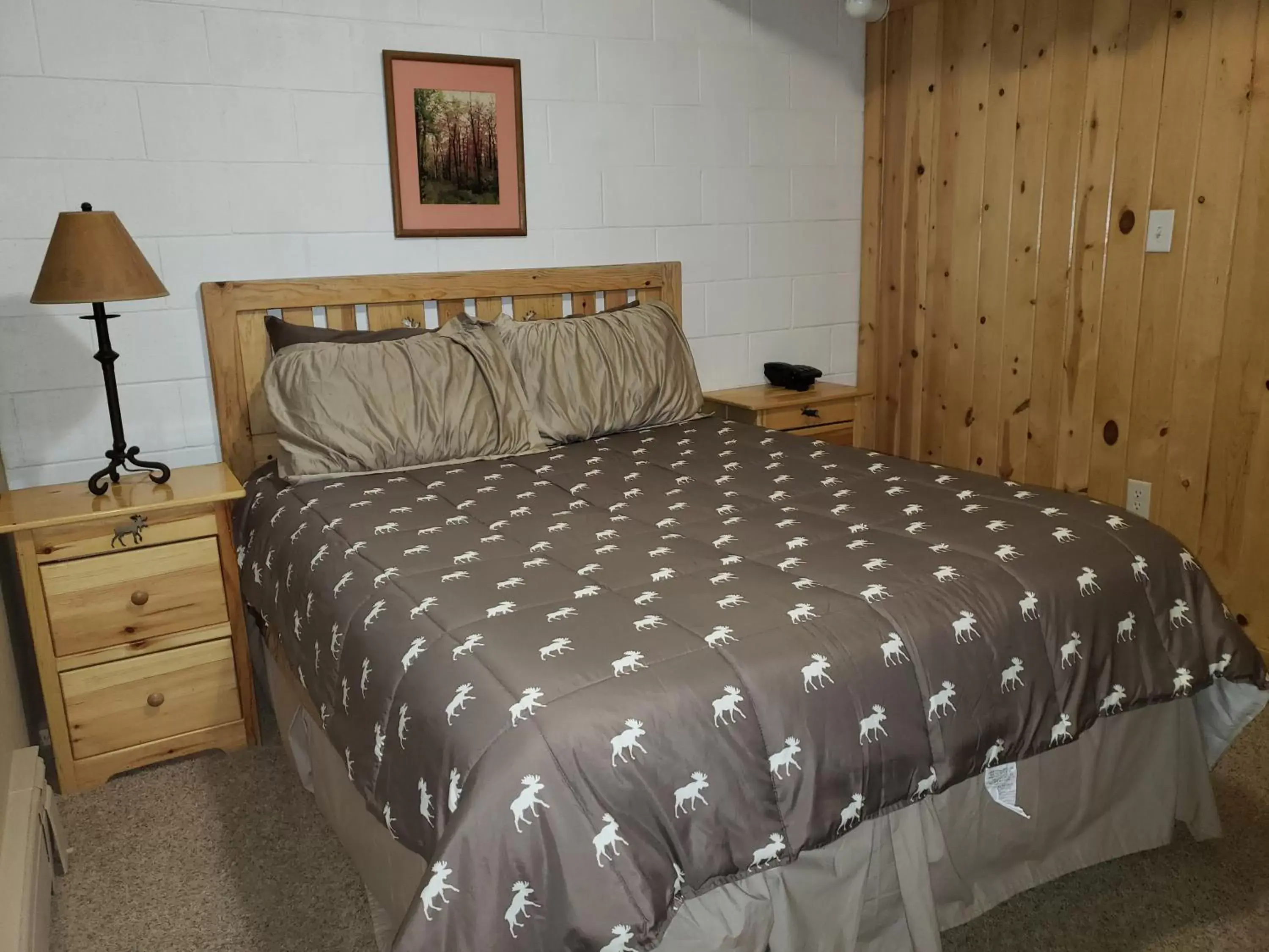 Deluxe King Suite in Willard Munger Inn Deluxe King Suite in Willard Munger Inn