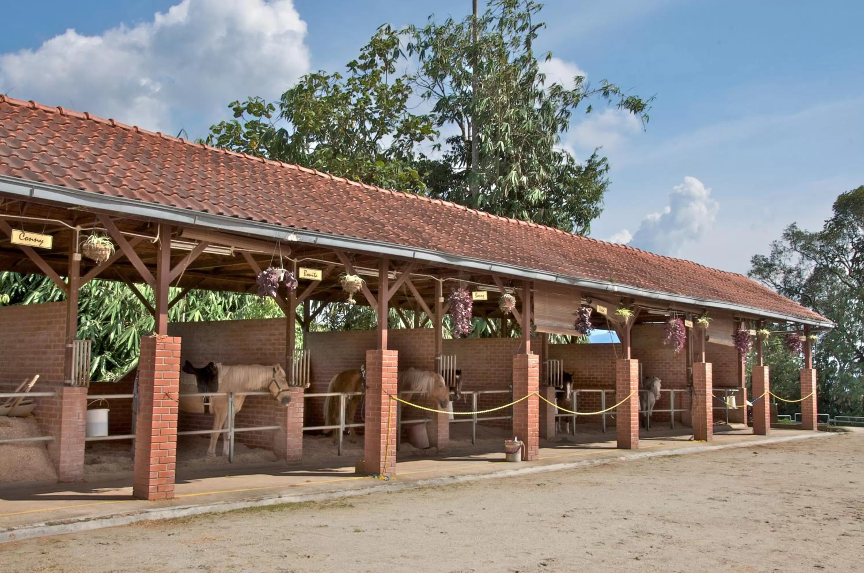 Other in Colmar Tropicale