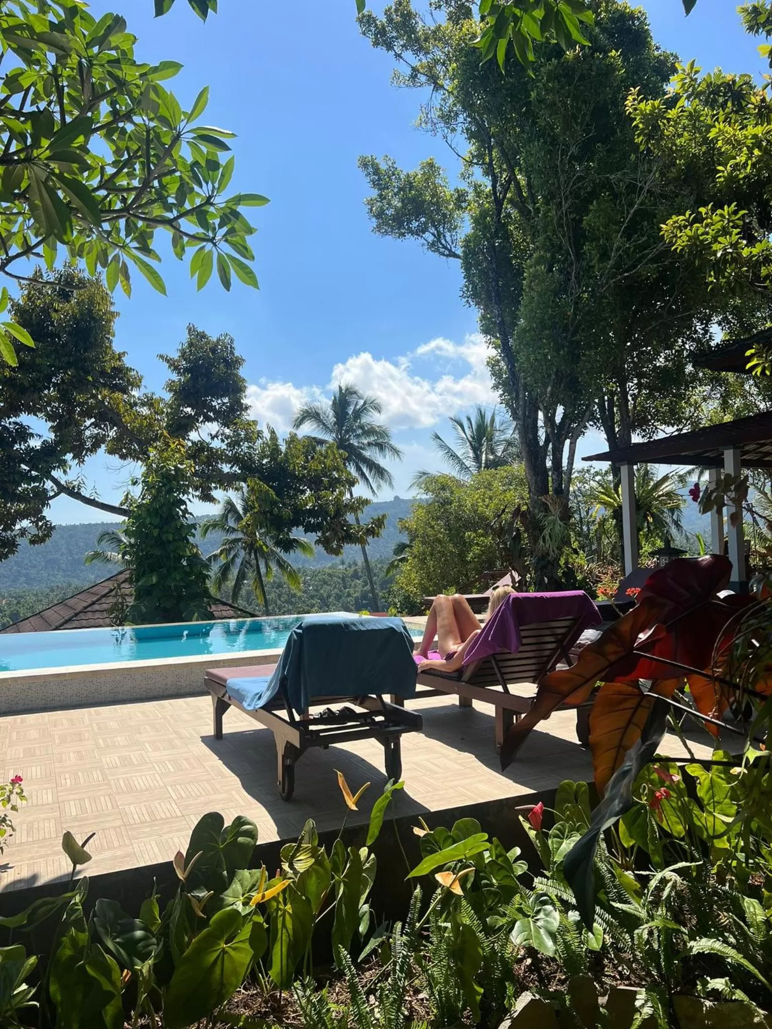 Swimming pool in VILLA IPSA