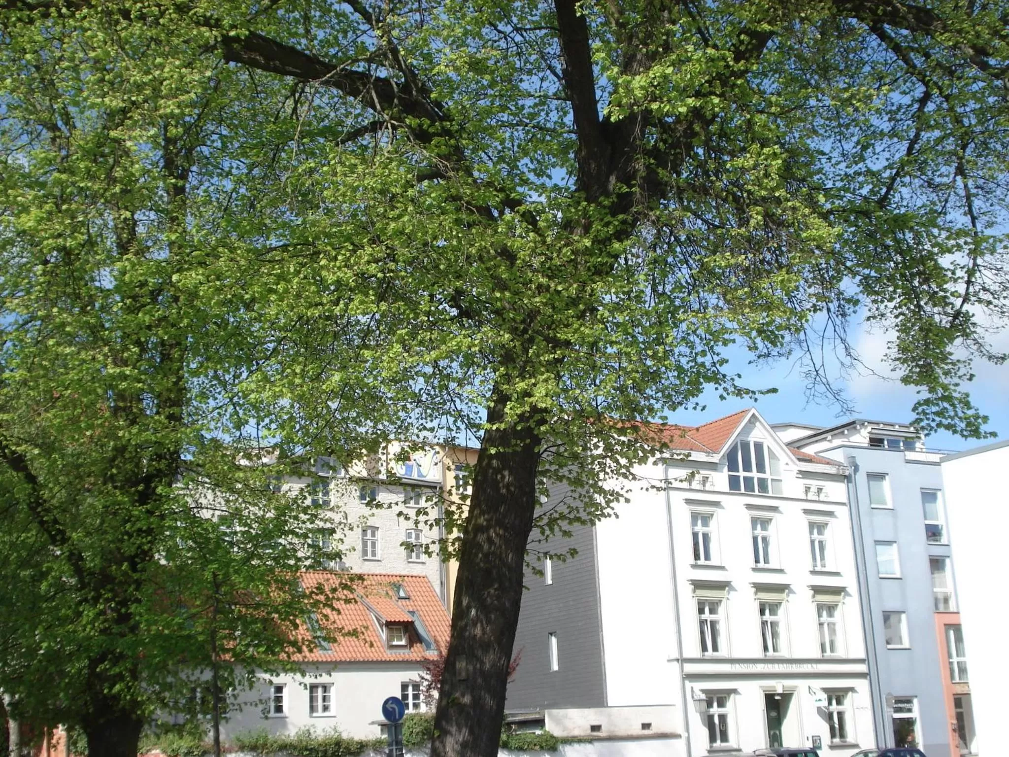 Property Building in Pension Zur Fährbrücke
