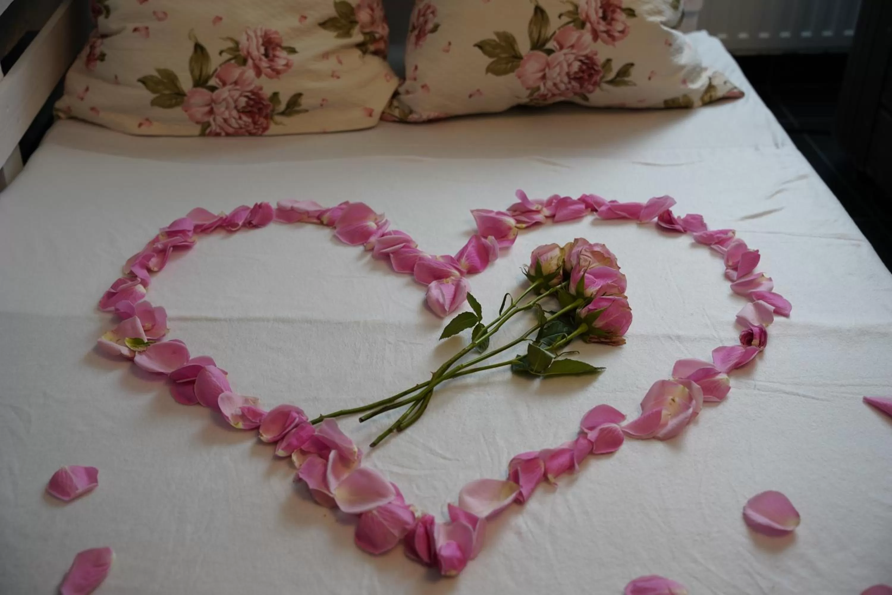 Zöld Sziget Wellness