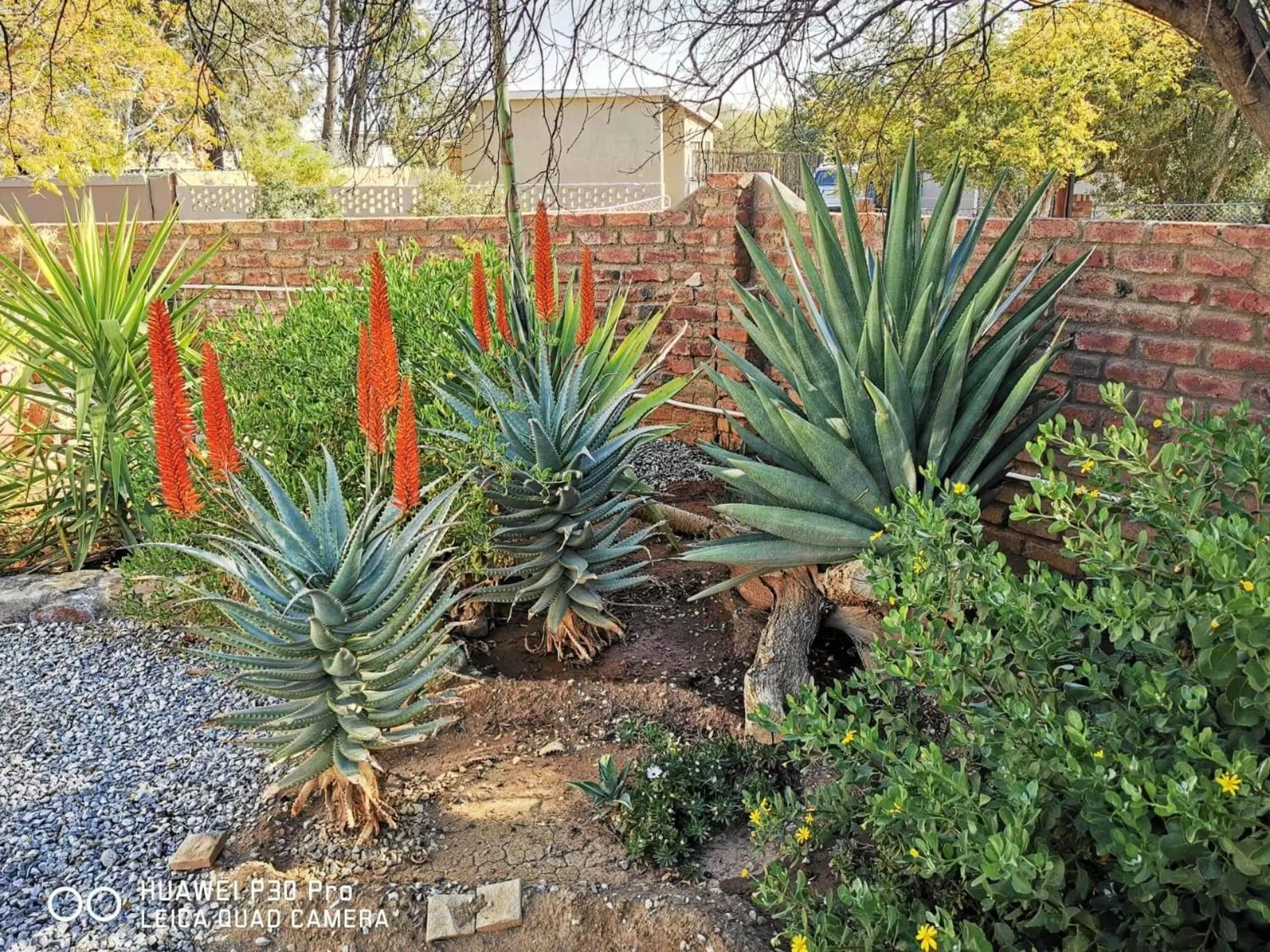 Garden view in Akkerdam Bed and Breakfast