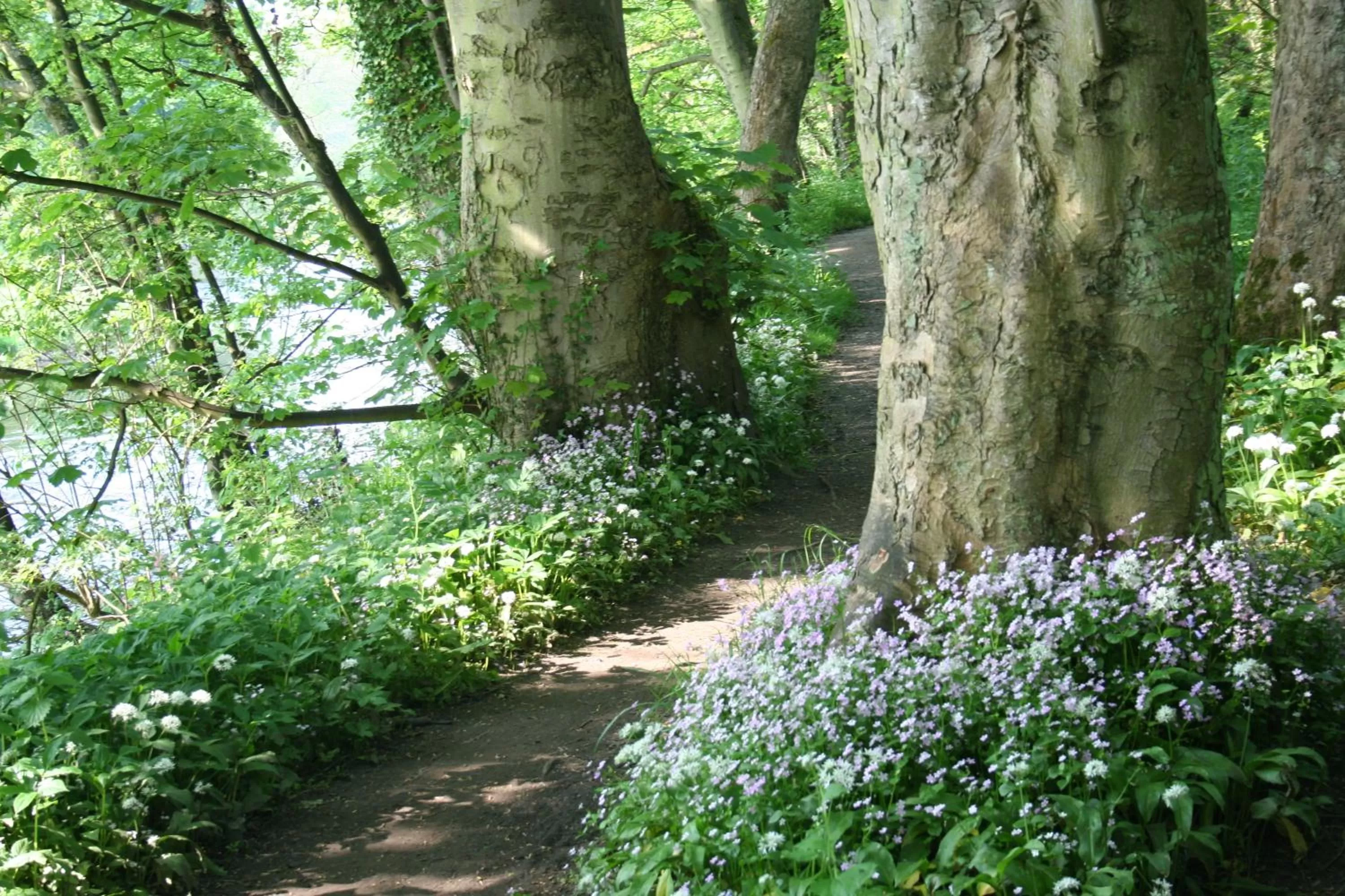 Area and facilities in The Old Station House
