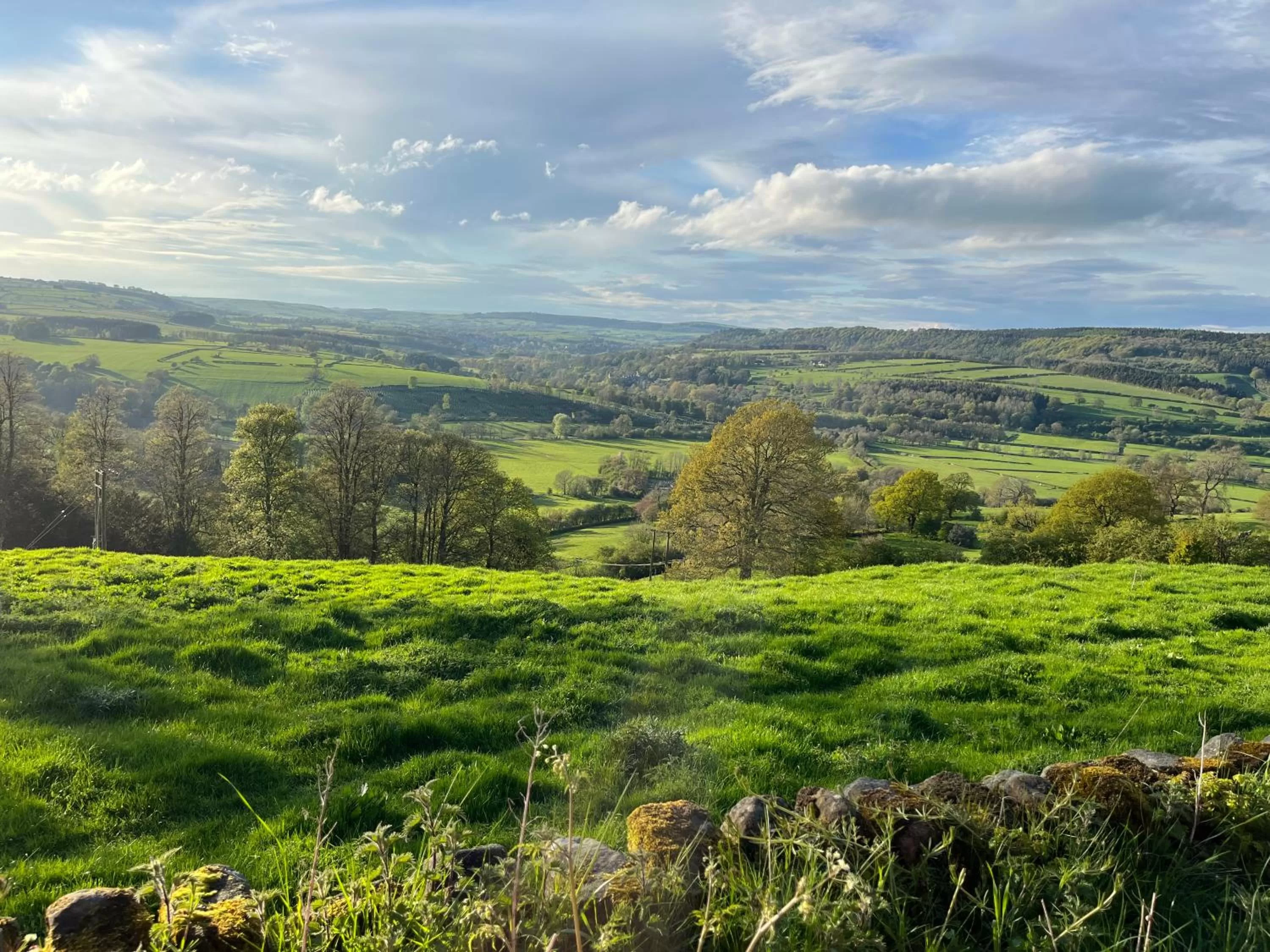 Natural landscape in The Old Station House