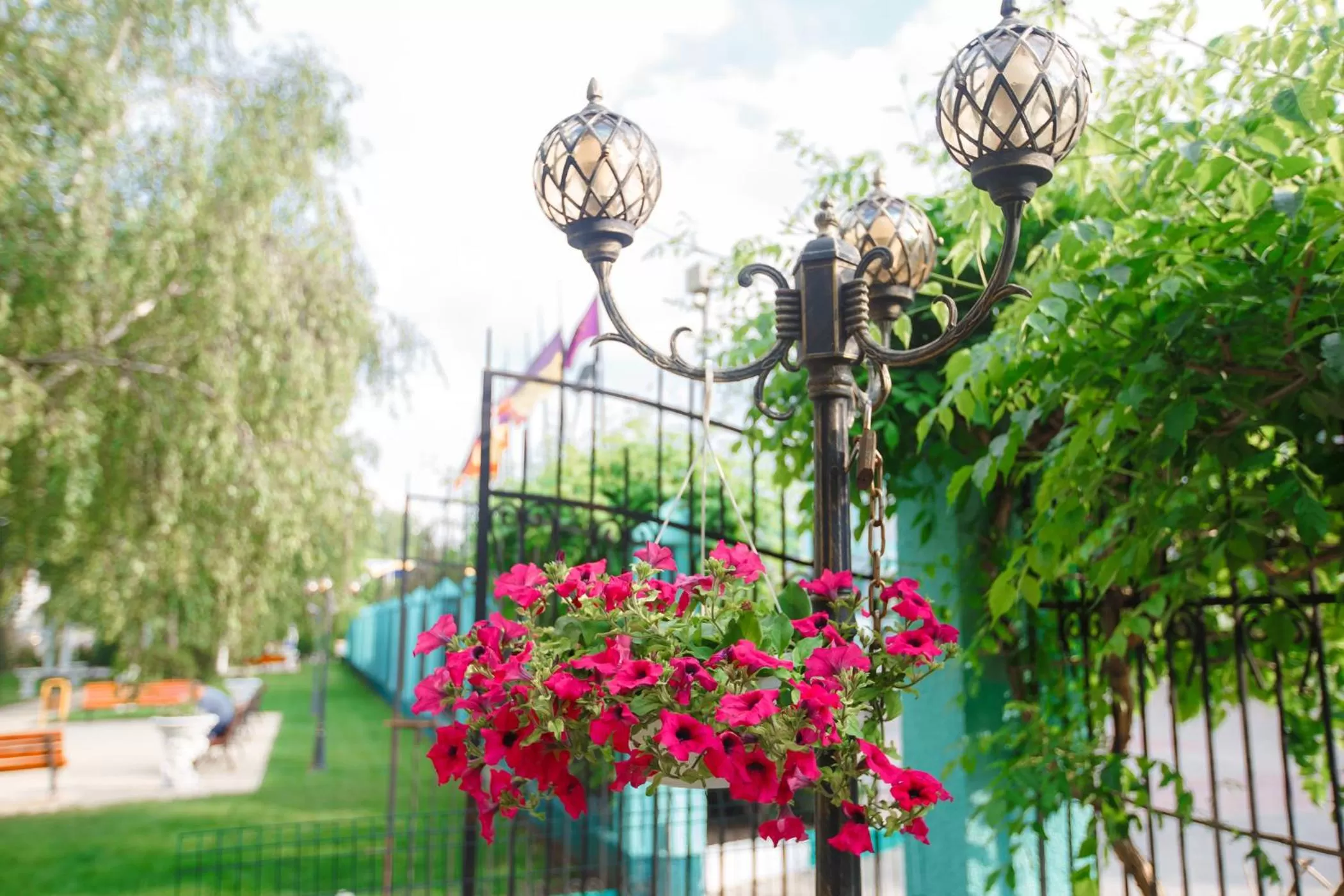 Natural landscape in LidoLux