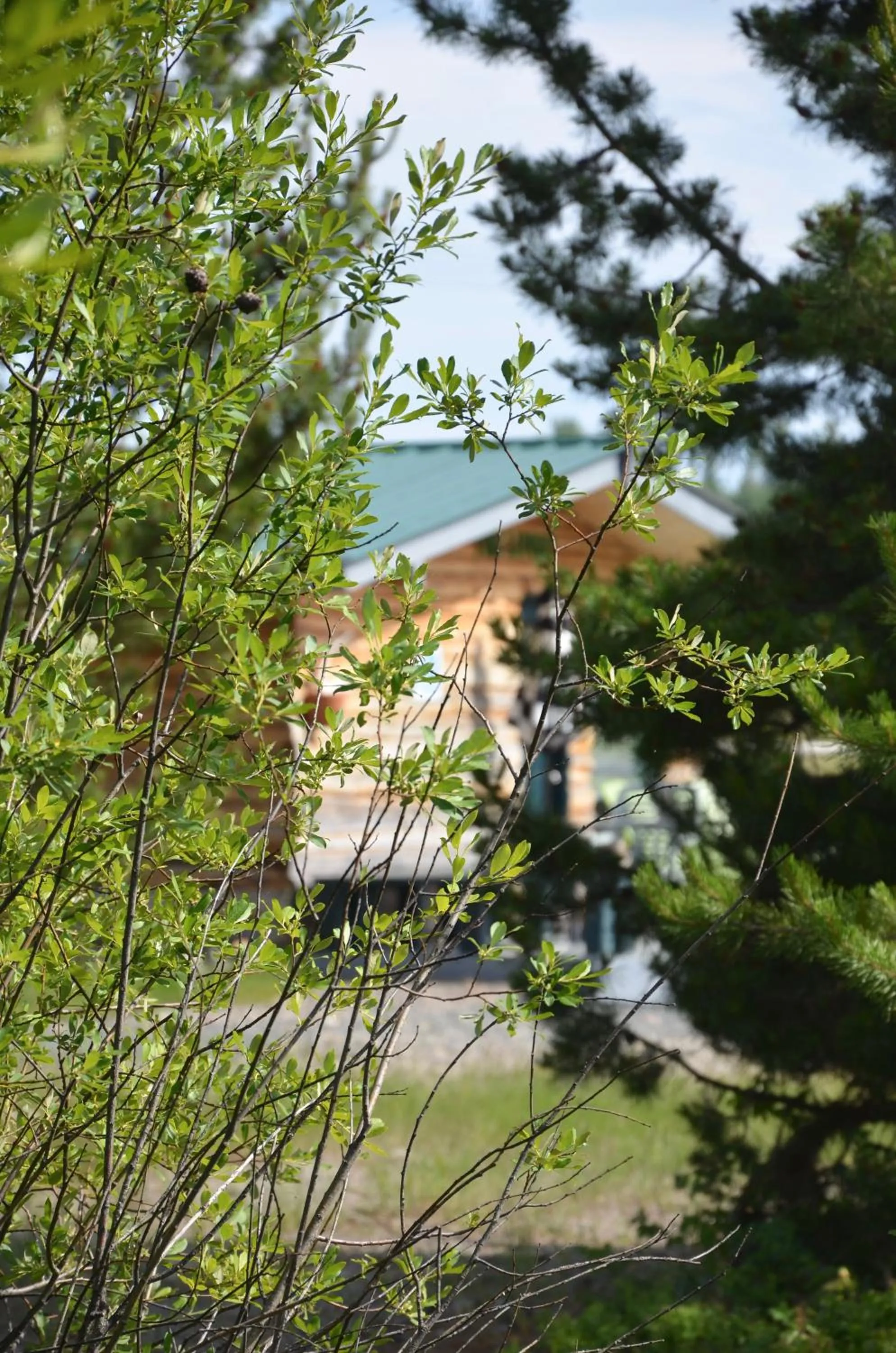 View (from property/room) in Woodhouse Cottages And Ranch