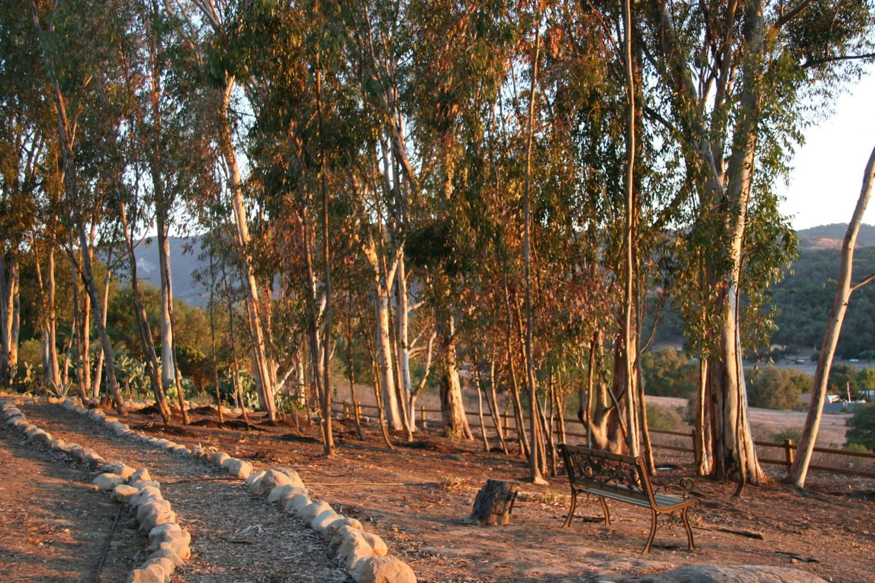 Natural landscape in Ojai Retreat & Inn