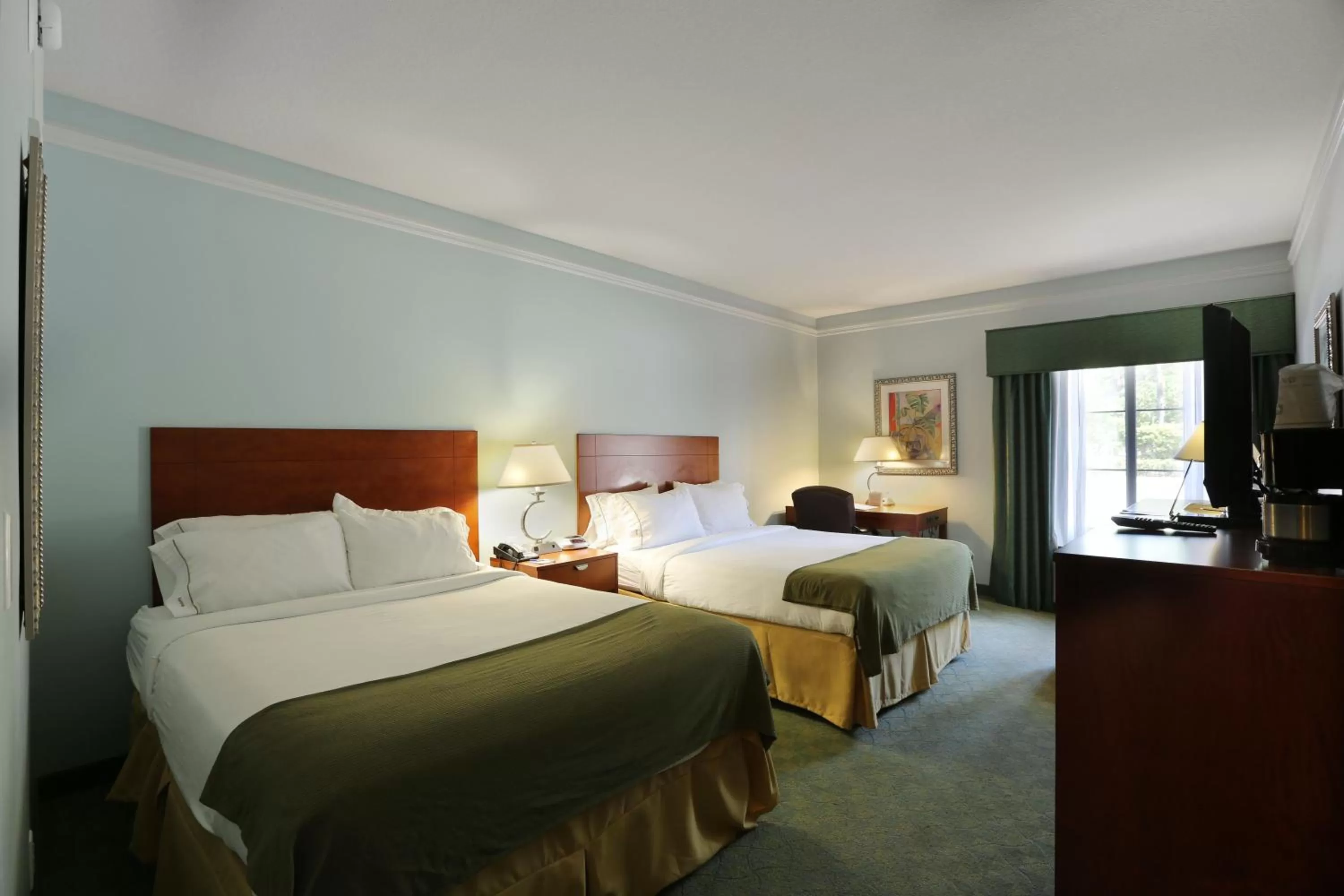 Photo of the whole room, Bed in Holiday Inn Express Tampa North Telecom Park by IHG