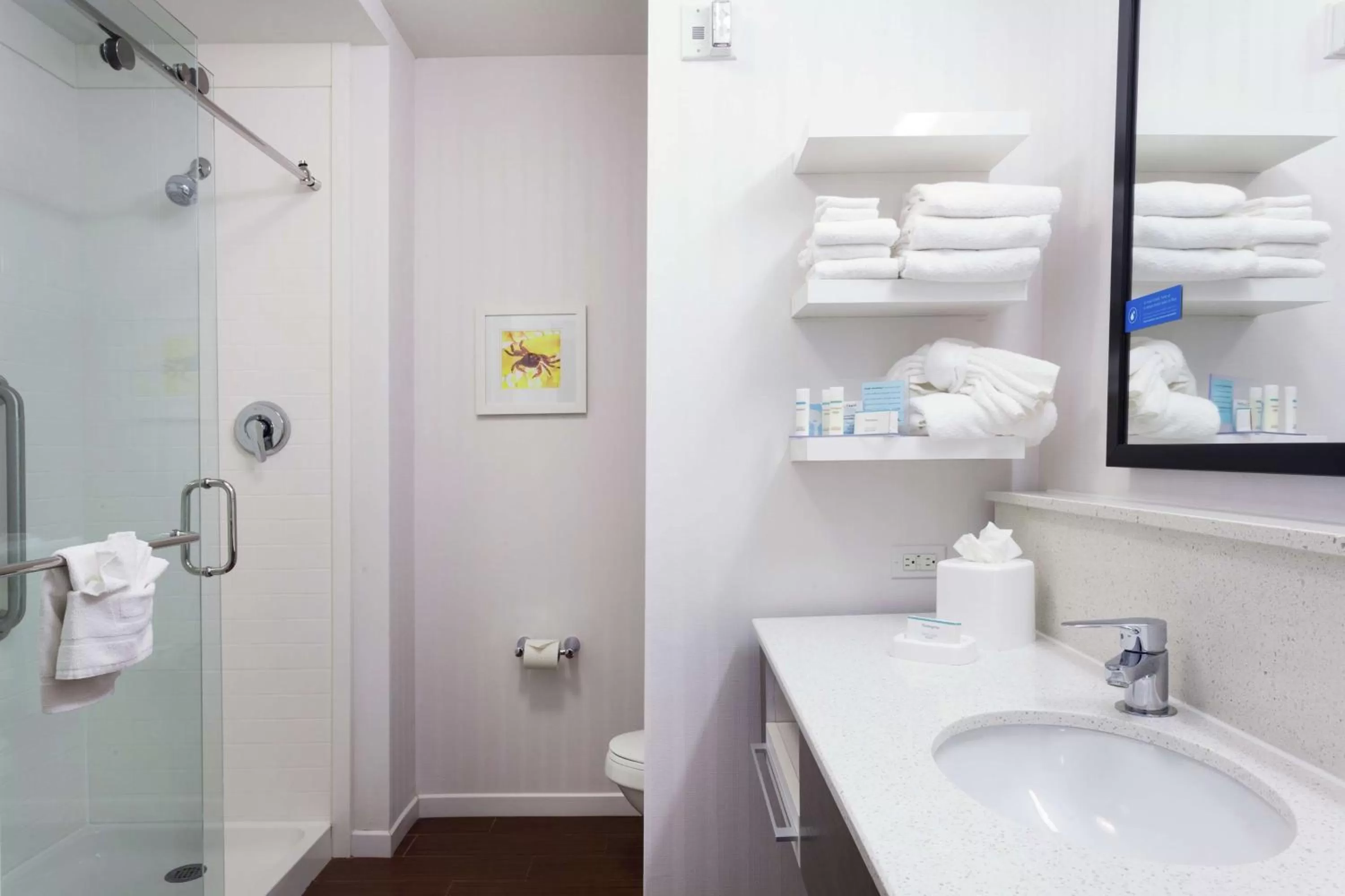 Bathroom in Hampton Inn & Suites - DeLand