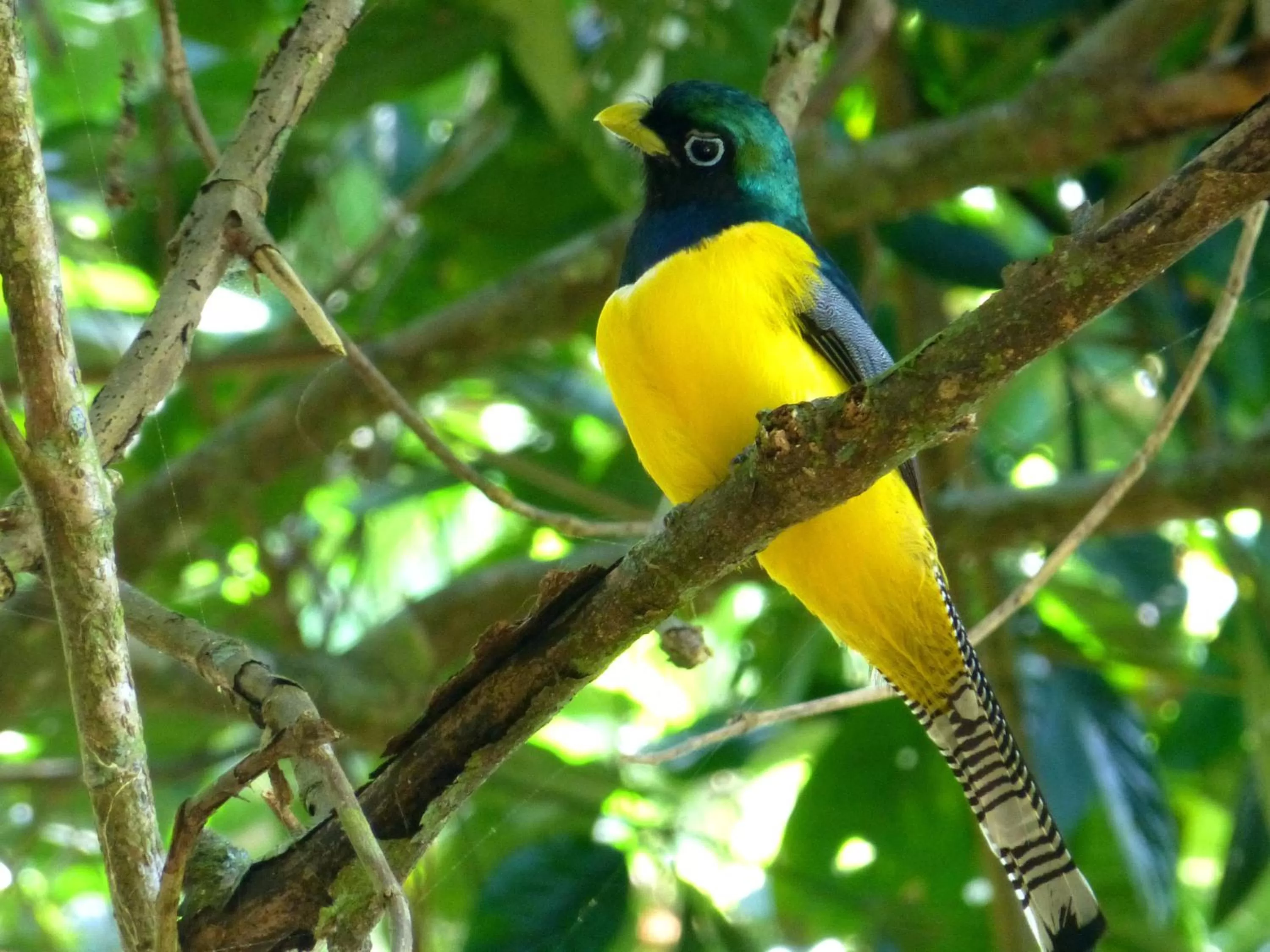 Day in Jaco Hotel DoceLunas