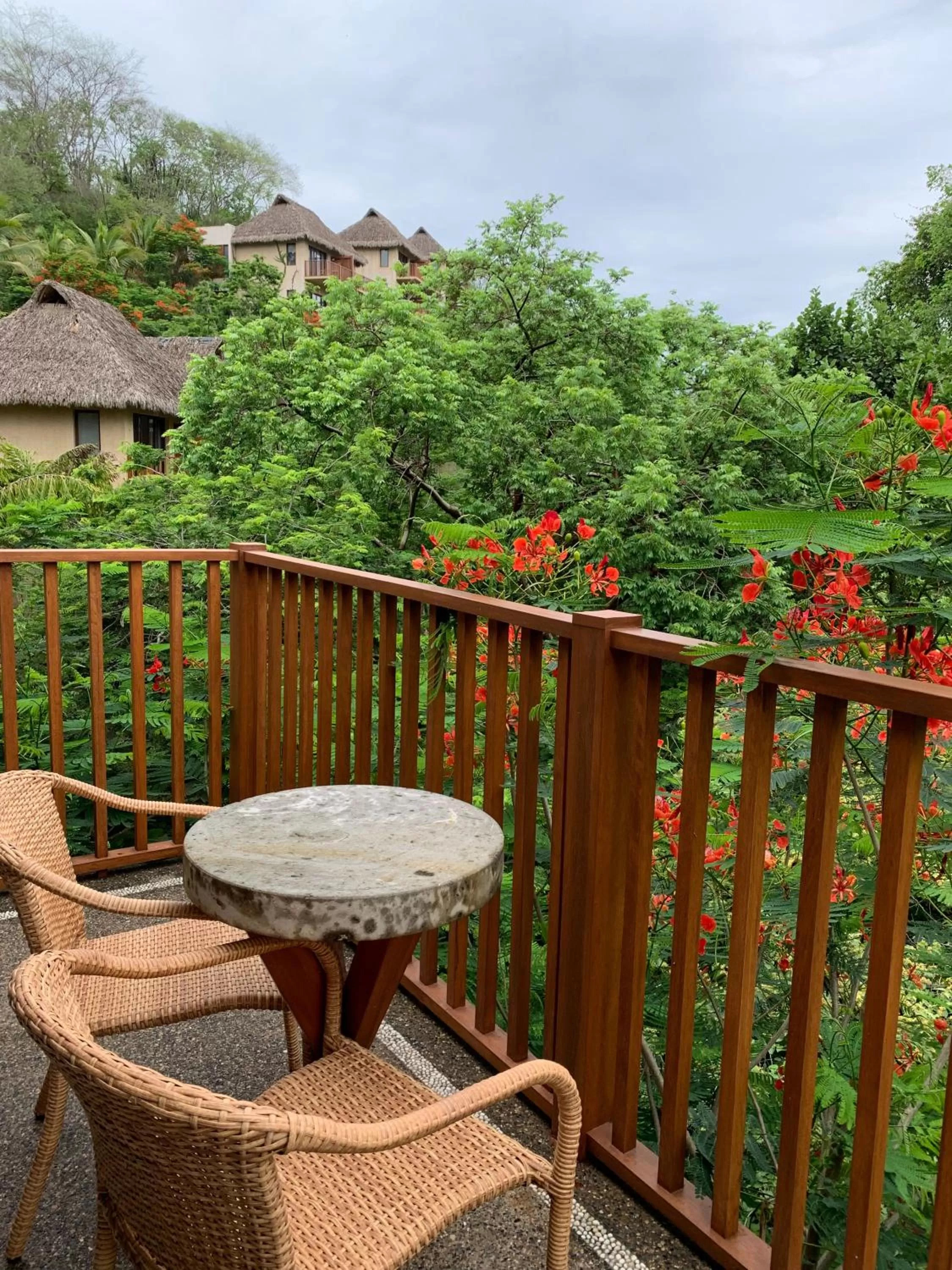 View (from property/room) in Delta Hotels by Marriott Riviera Nayarit, an All-Inclusive Resort