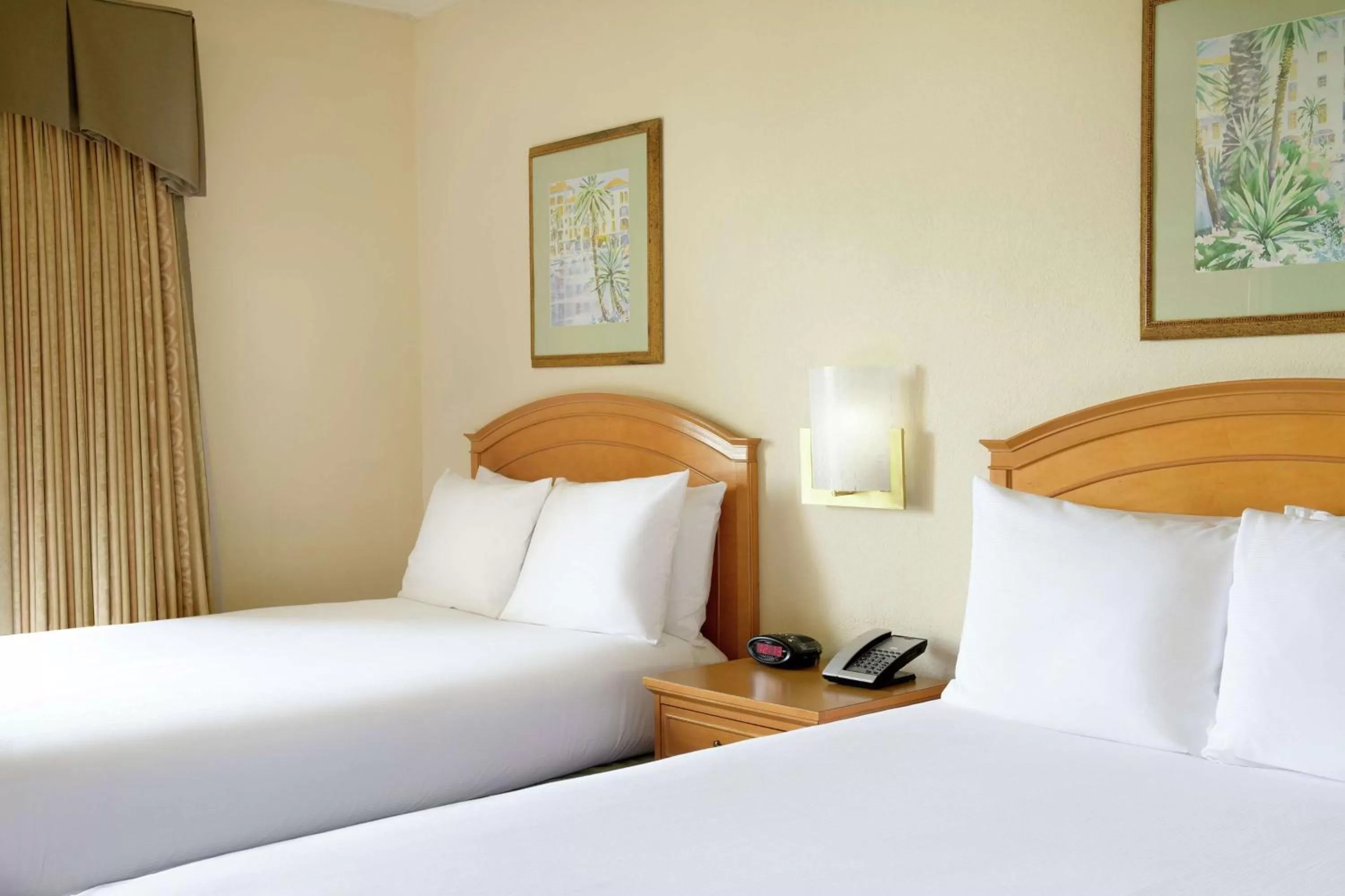 Suite with Two Double Beds - Allergy Friendly in Hilton Boca Raton Suites