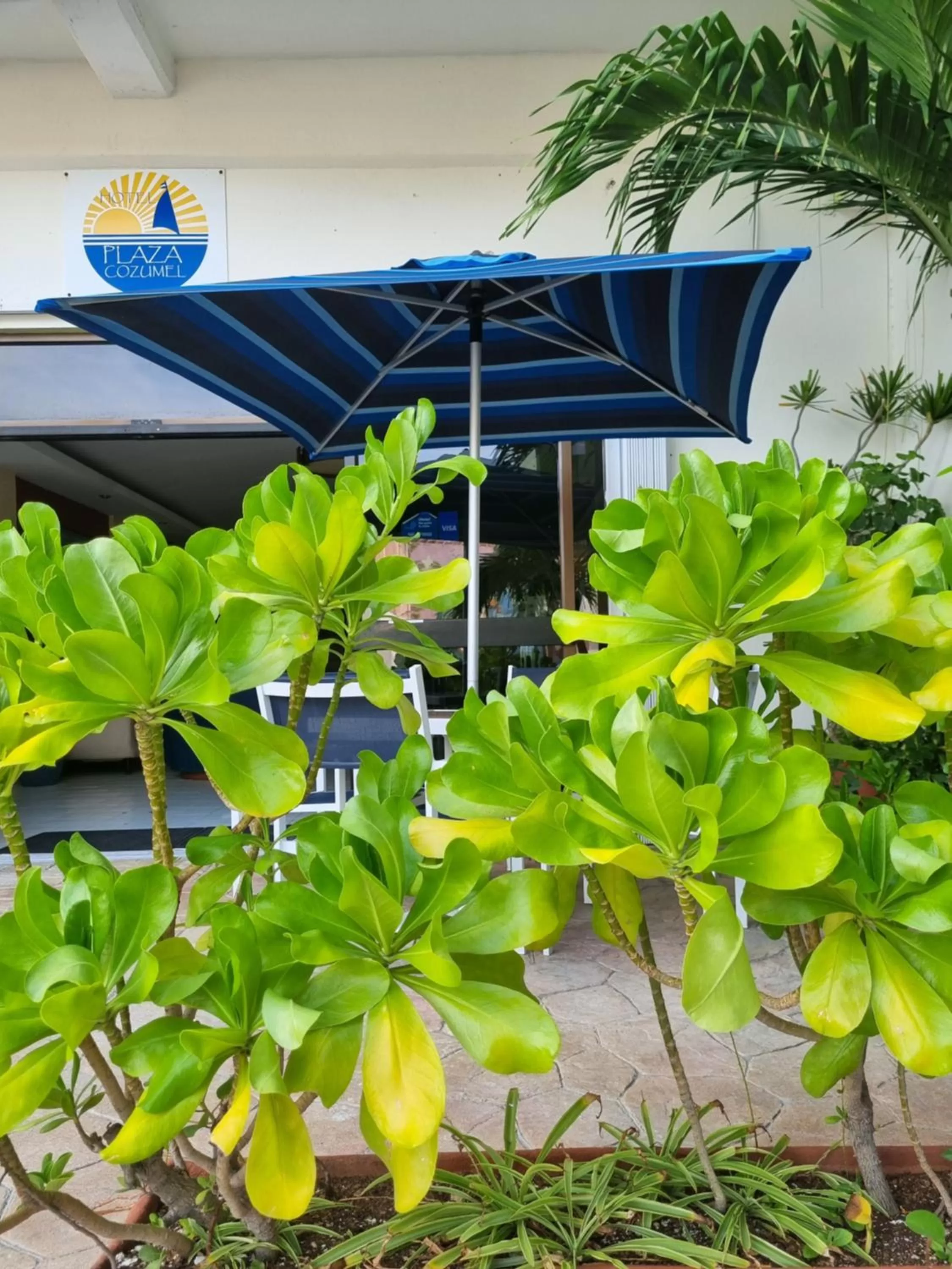 Property building in Hotel Plaza Cozumel