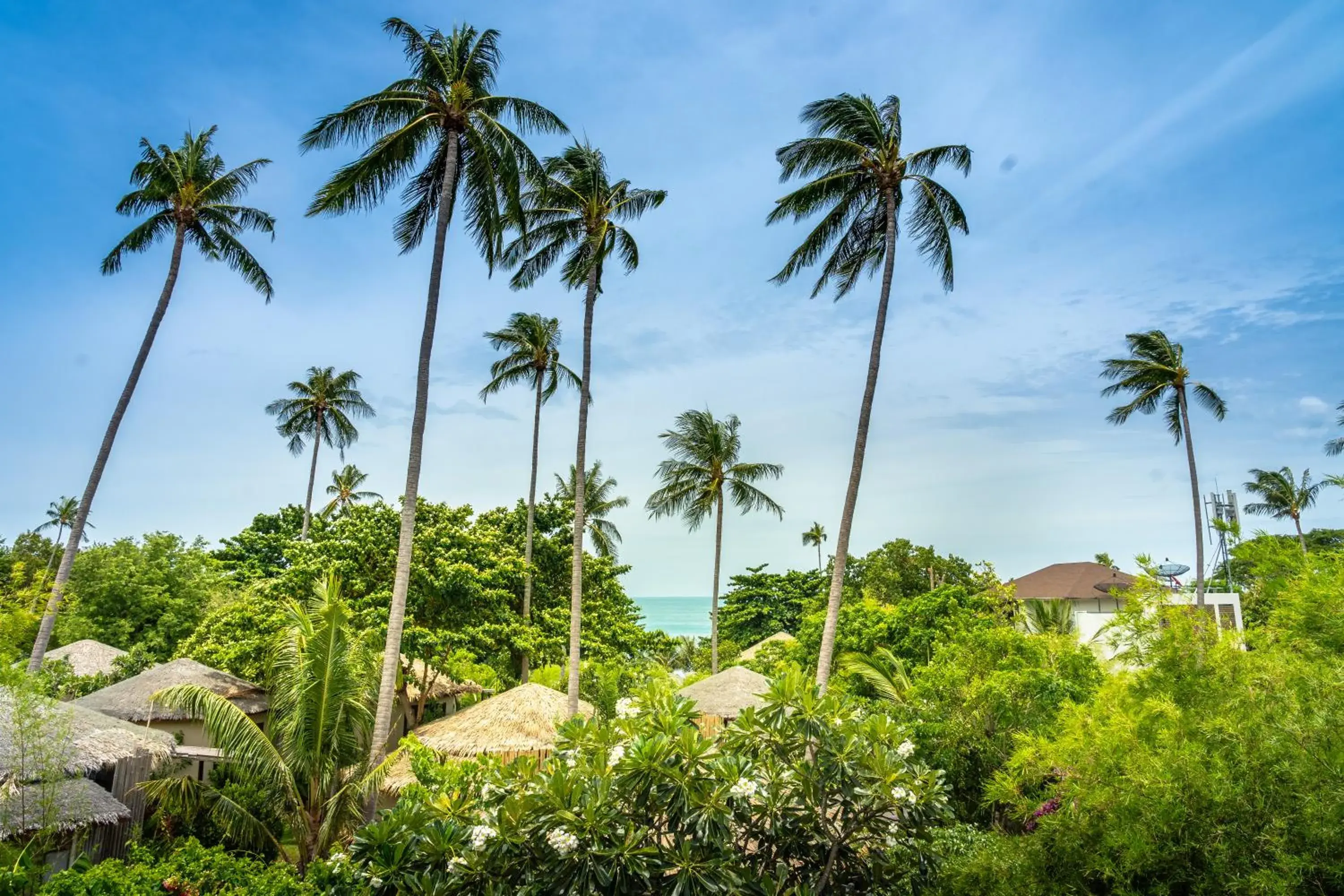 Two Bedroom Sky Terrace Pool Villa in Sea Dance Resort Two Bedroom Sky Terrace Pool Villa in Sea Dance Resort