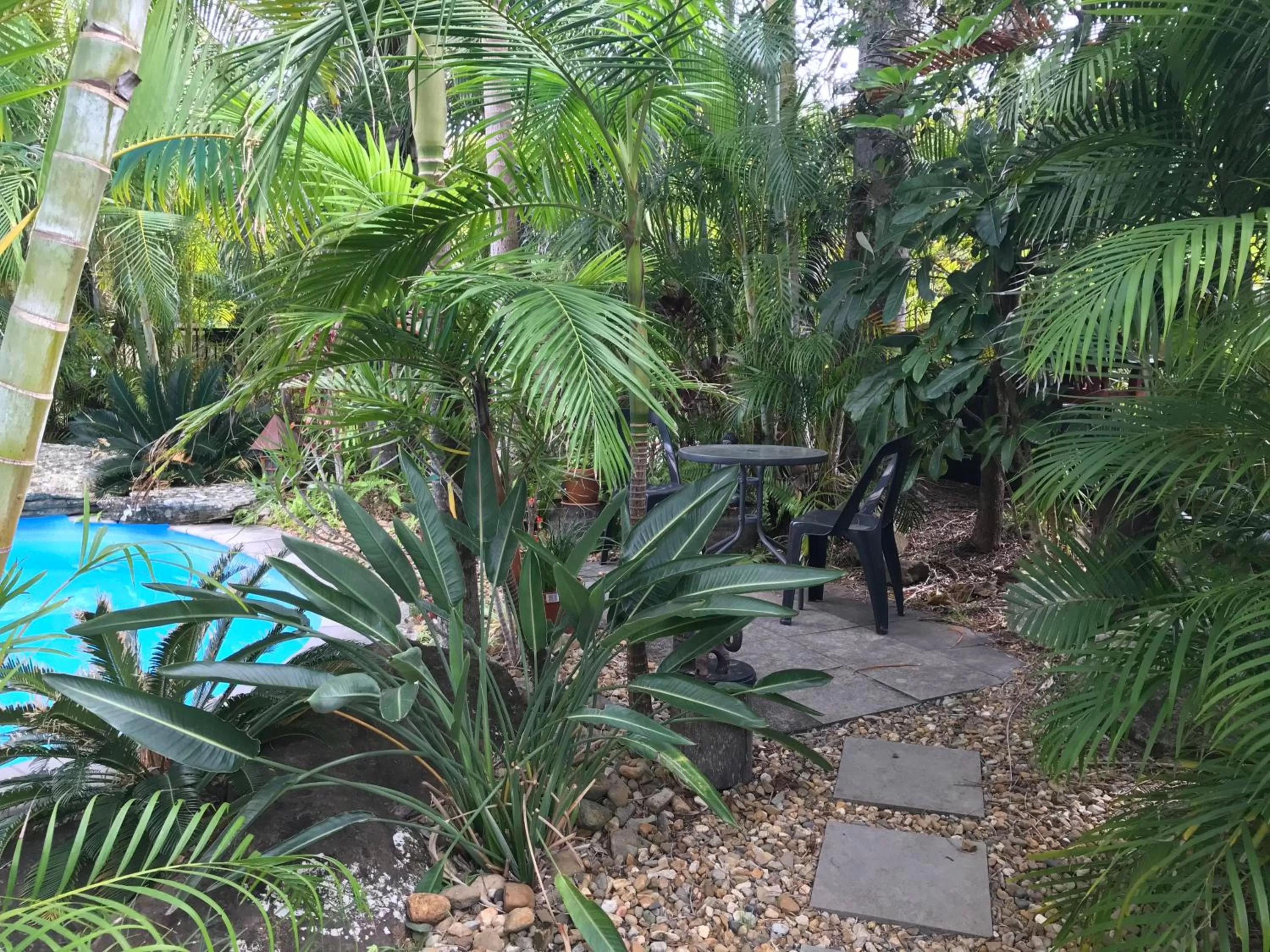 Garden in Tallow Beach Motel