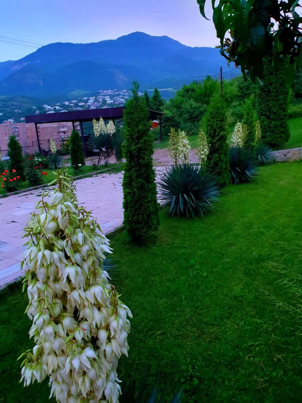 Spring in Guest house Ijevan's Garden