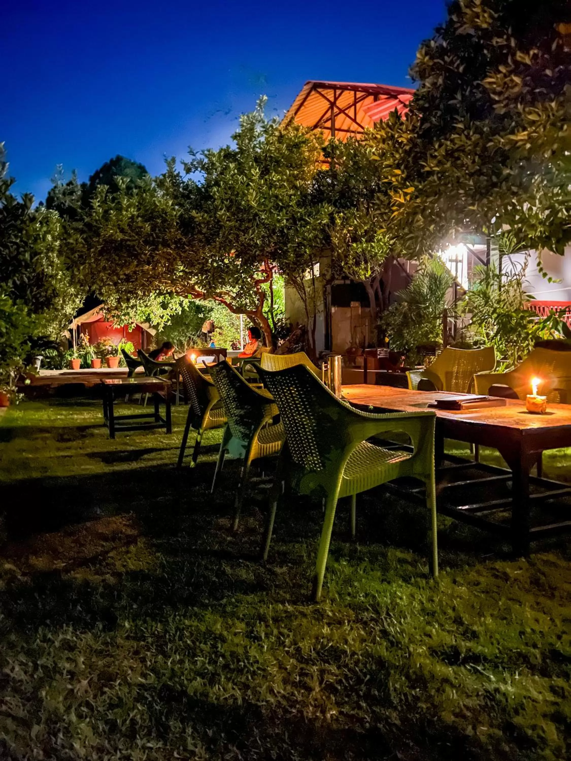 Restaurant/places to eat in Samskara & Samsara