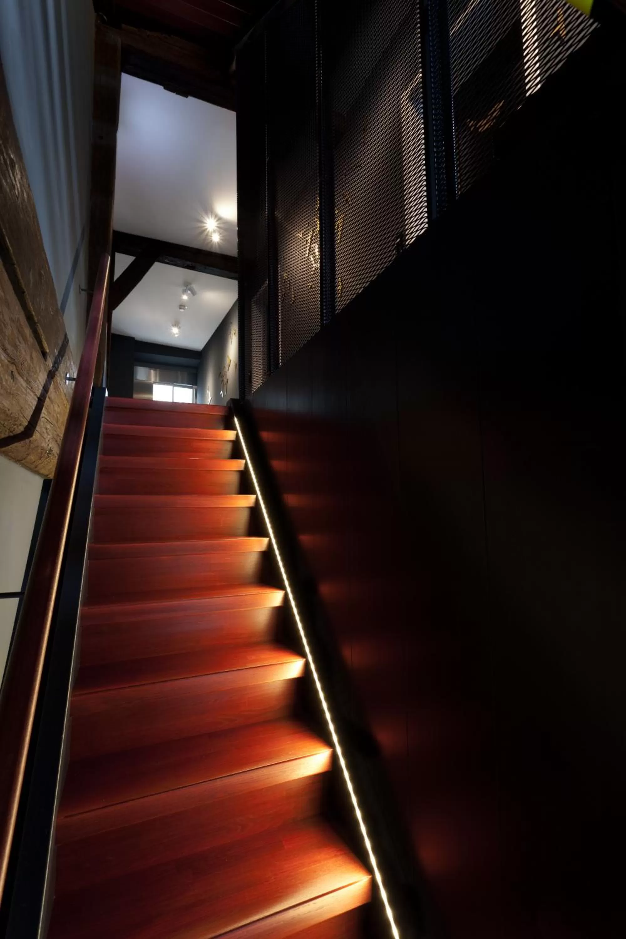 Area and facilities in Hotel Scholl