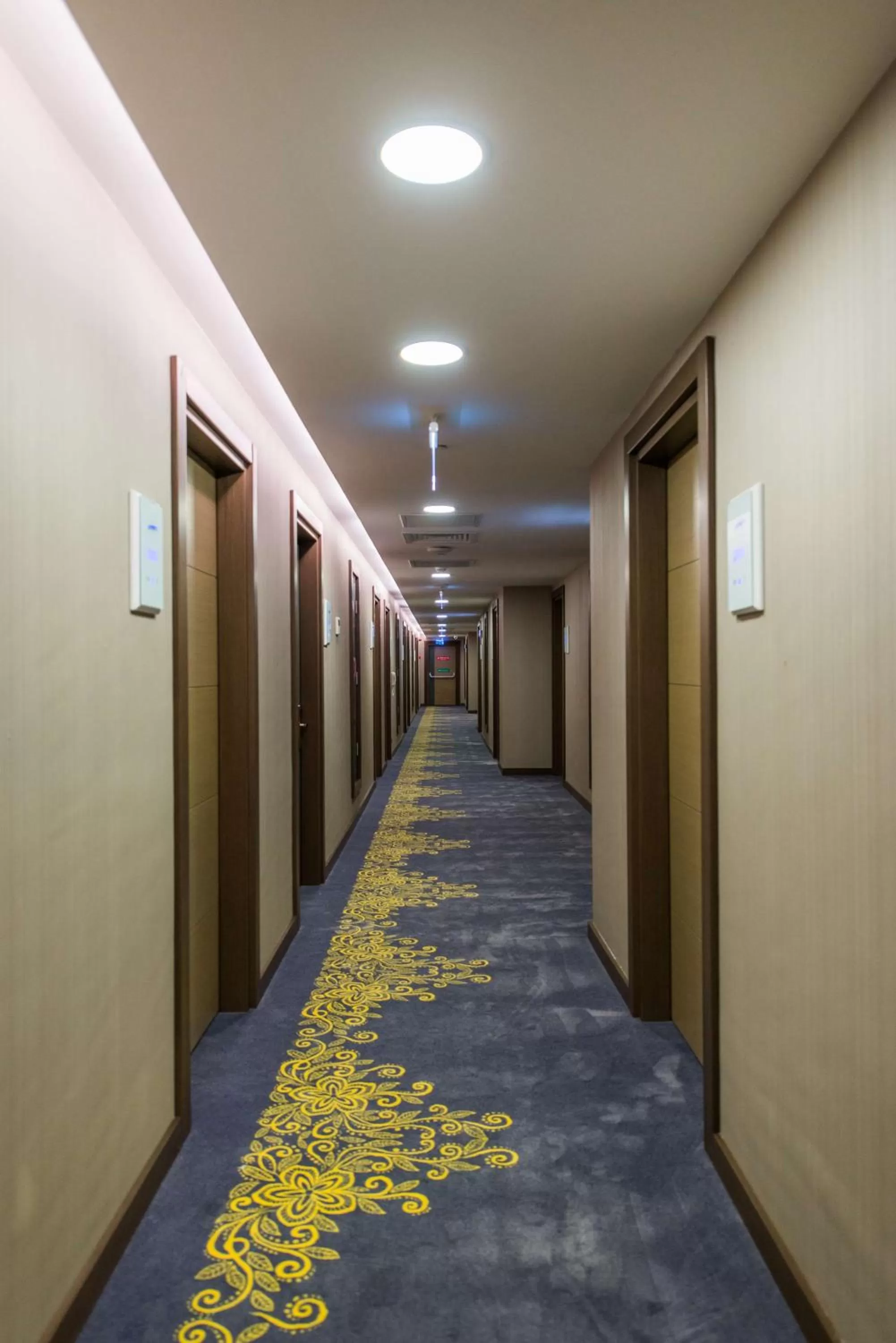 Other in Radisson Blu Hotel, Ordu