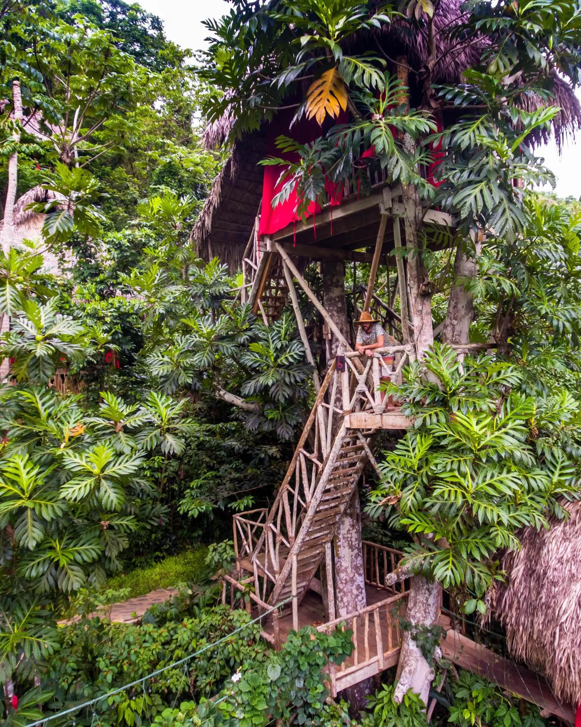 Dominican Tree House Village