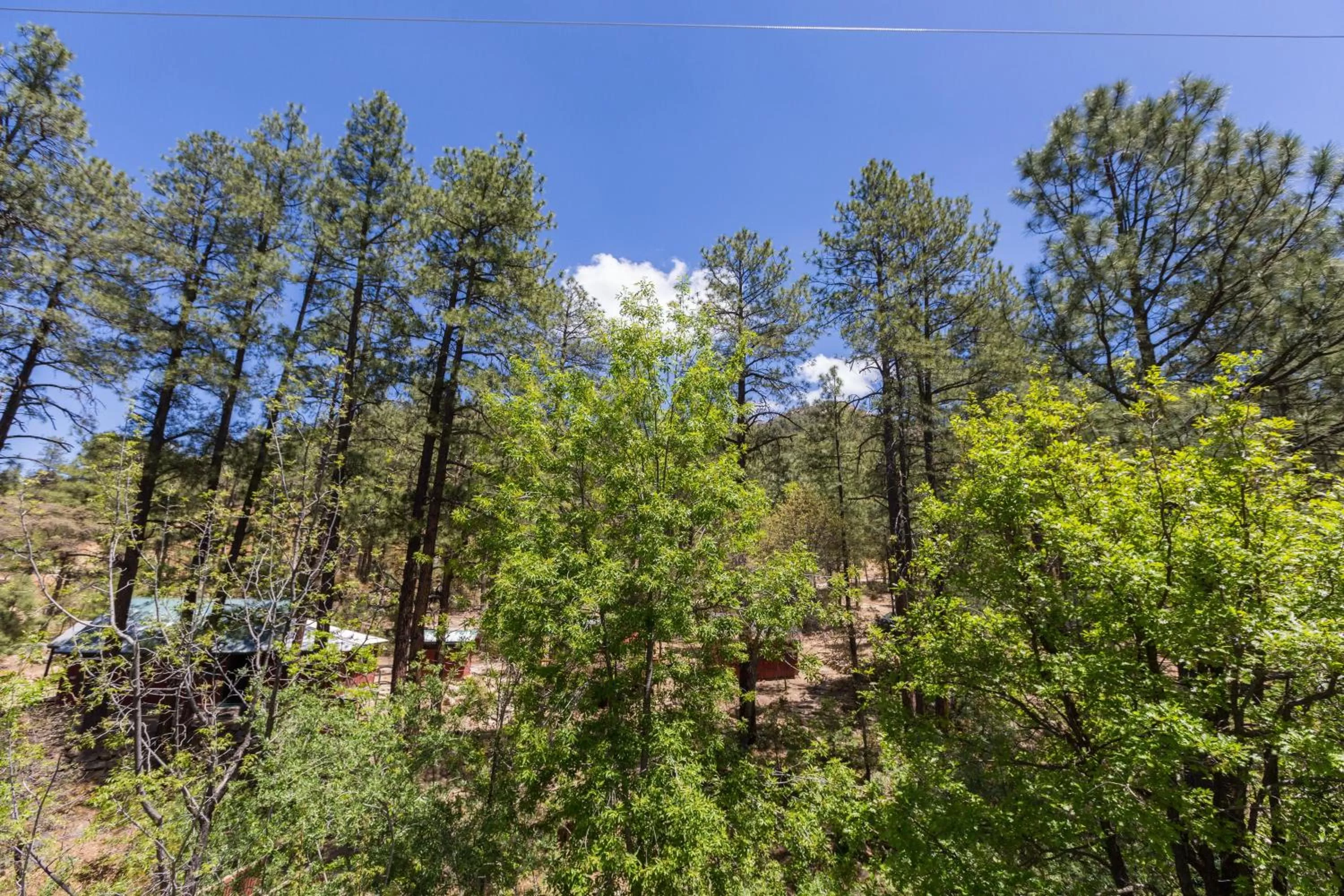 Property building in Crown King Cabins Bradshaw